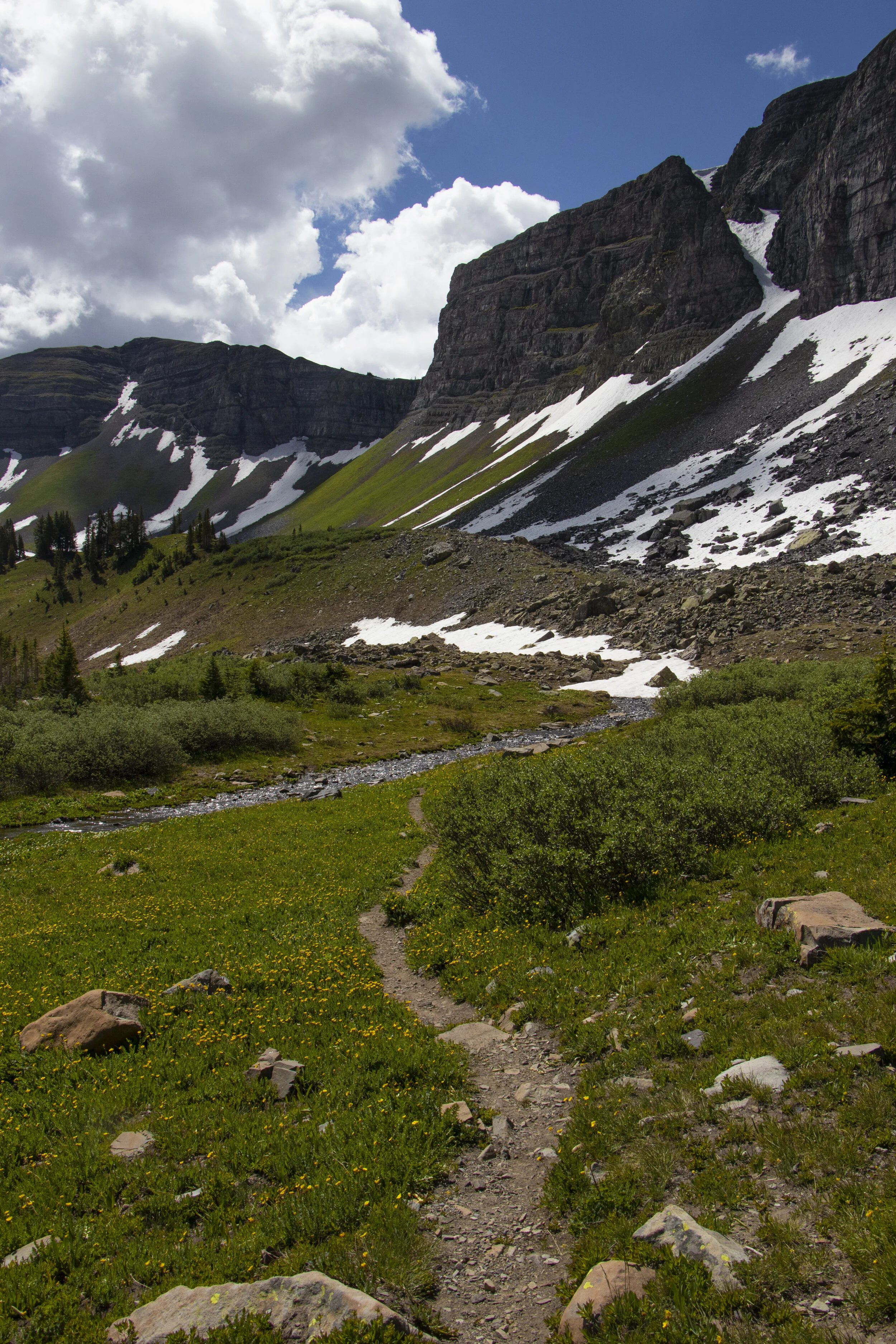 _MG_6667.jpg