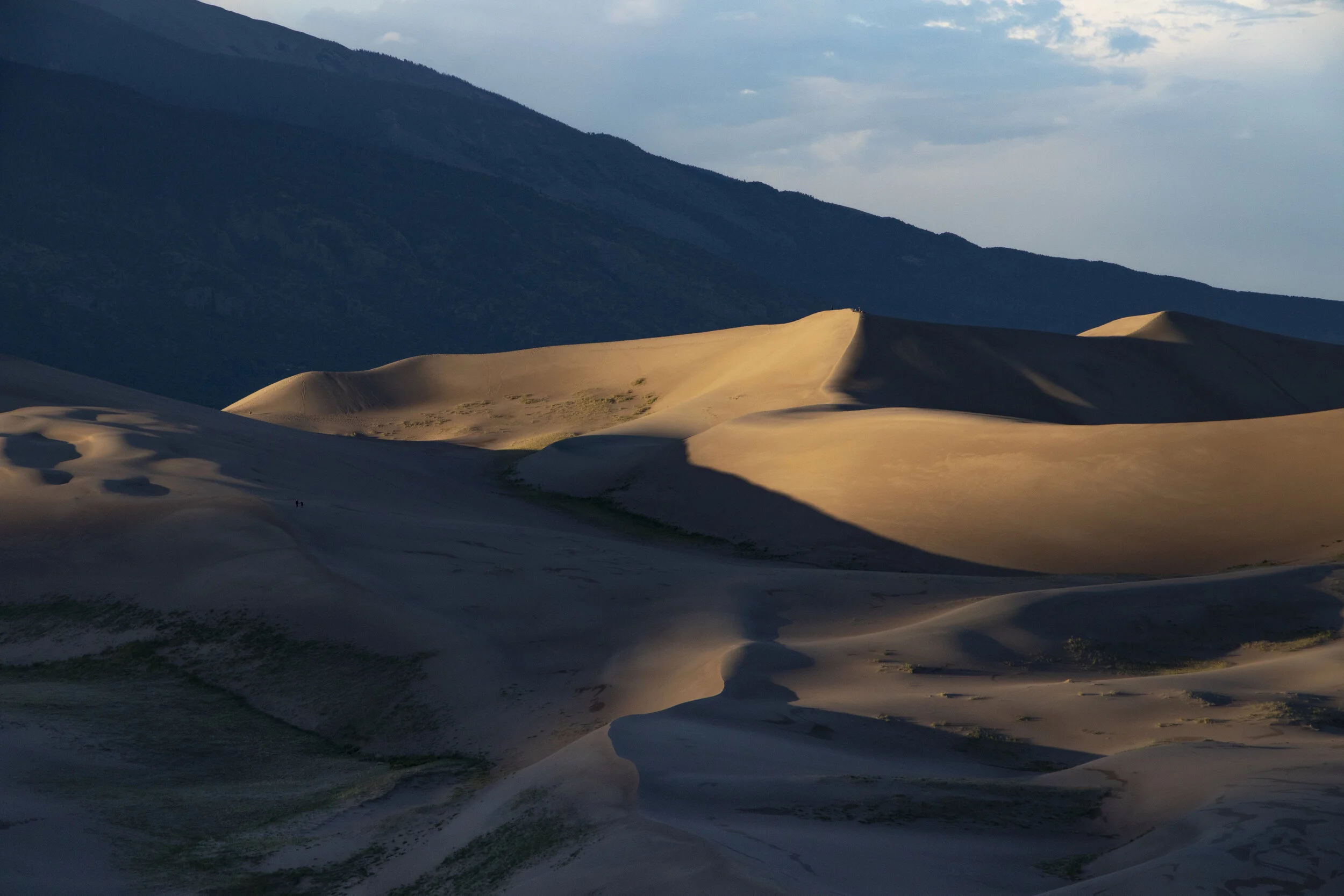 _MG_6889.jpg