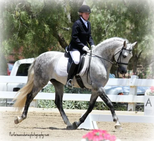 Valley Center Vaqueros