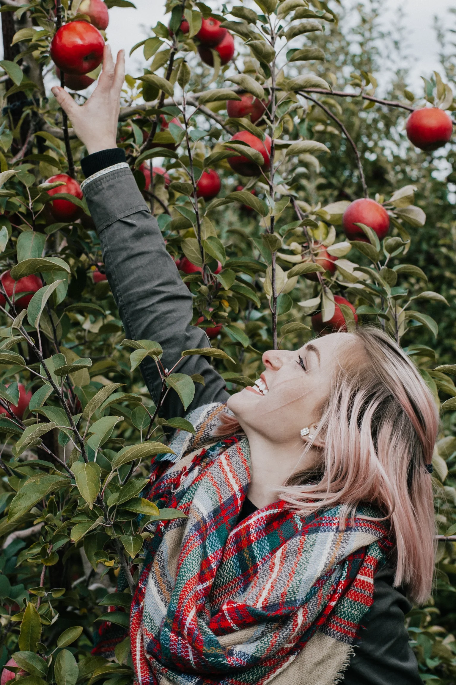 apple-picking-Julian_jennyrussell_unsplash.jpeg