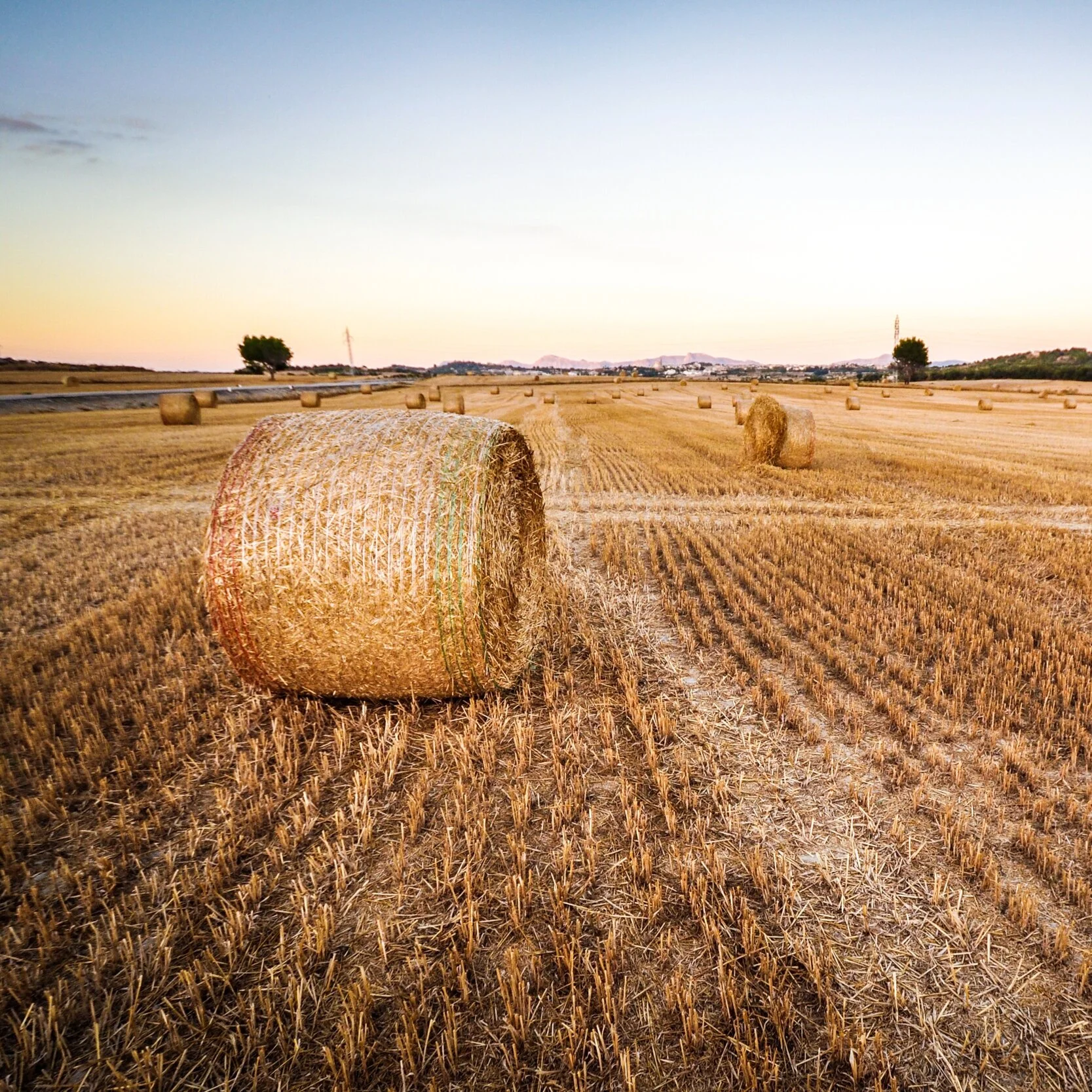 Agriculture’s silver lining for Australian economy