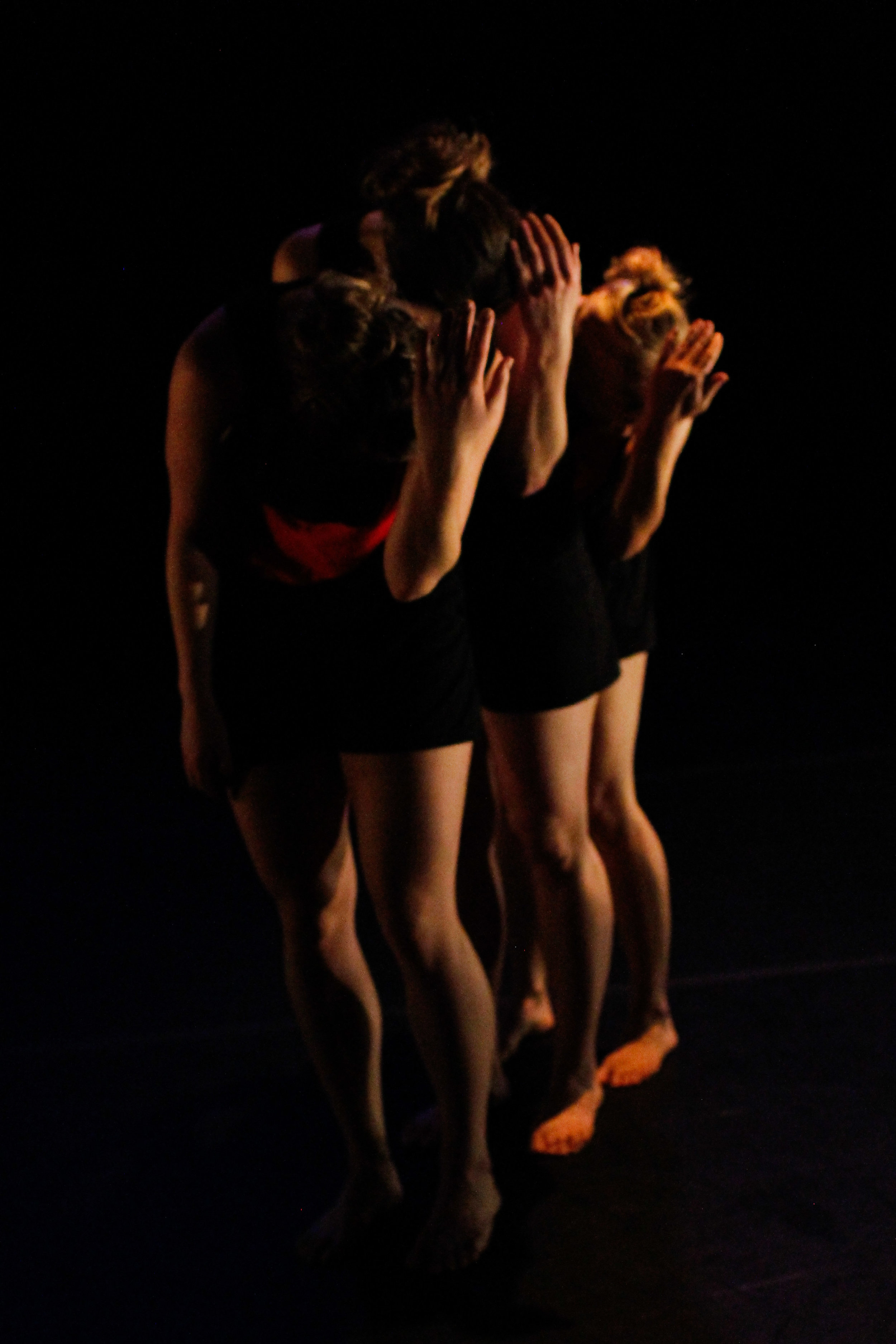 _MG_0958.jpg
