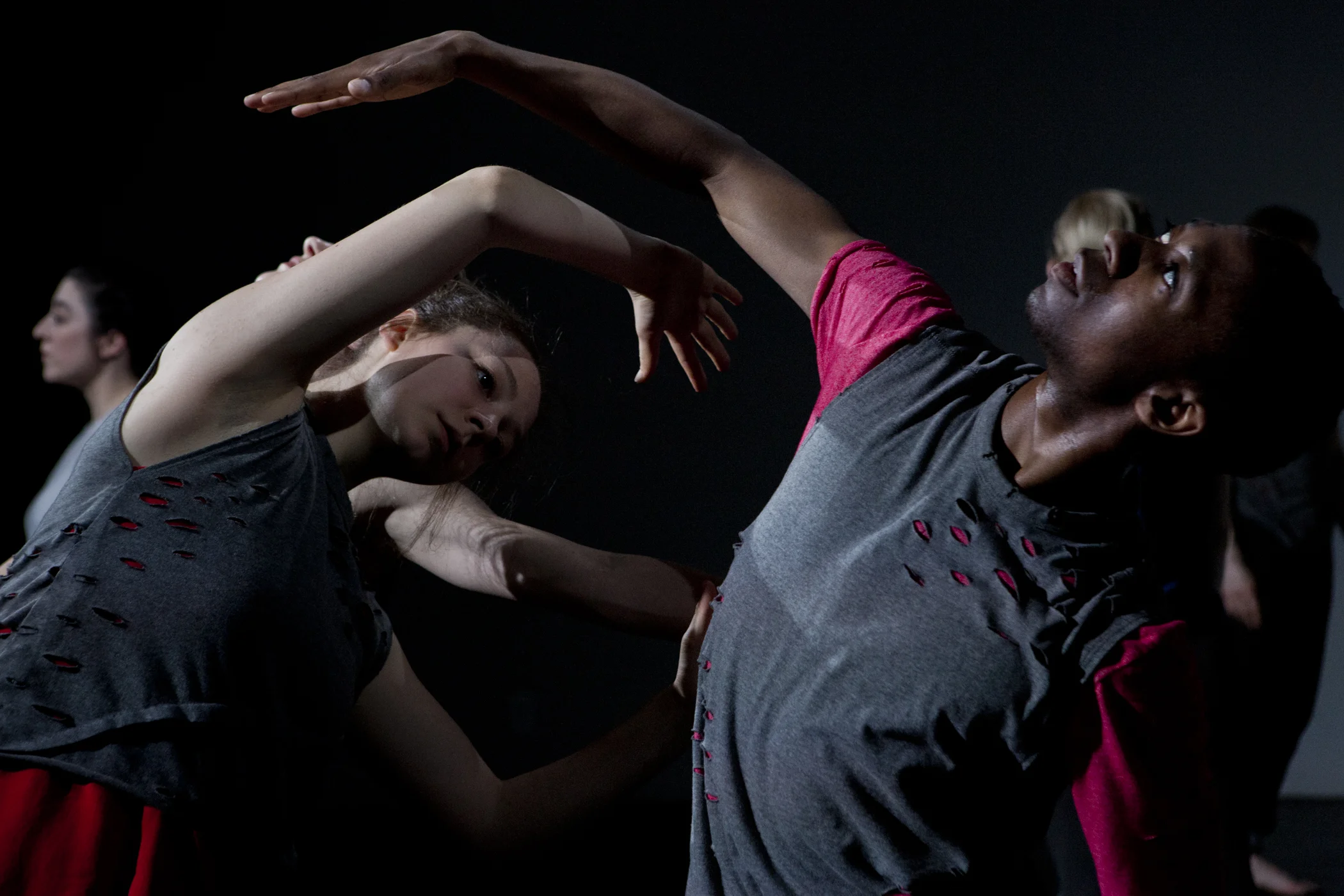 1,001 CONVERSATIONS on WATER AND CLIMATE CHANGE and WHY WE DANCE