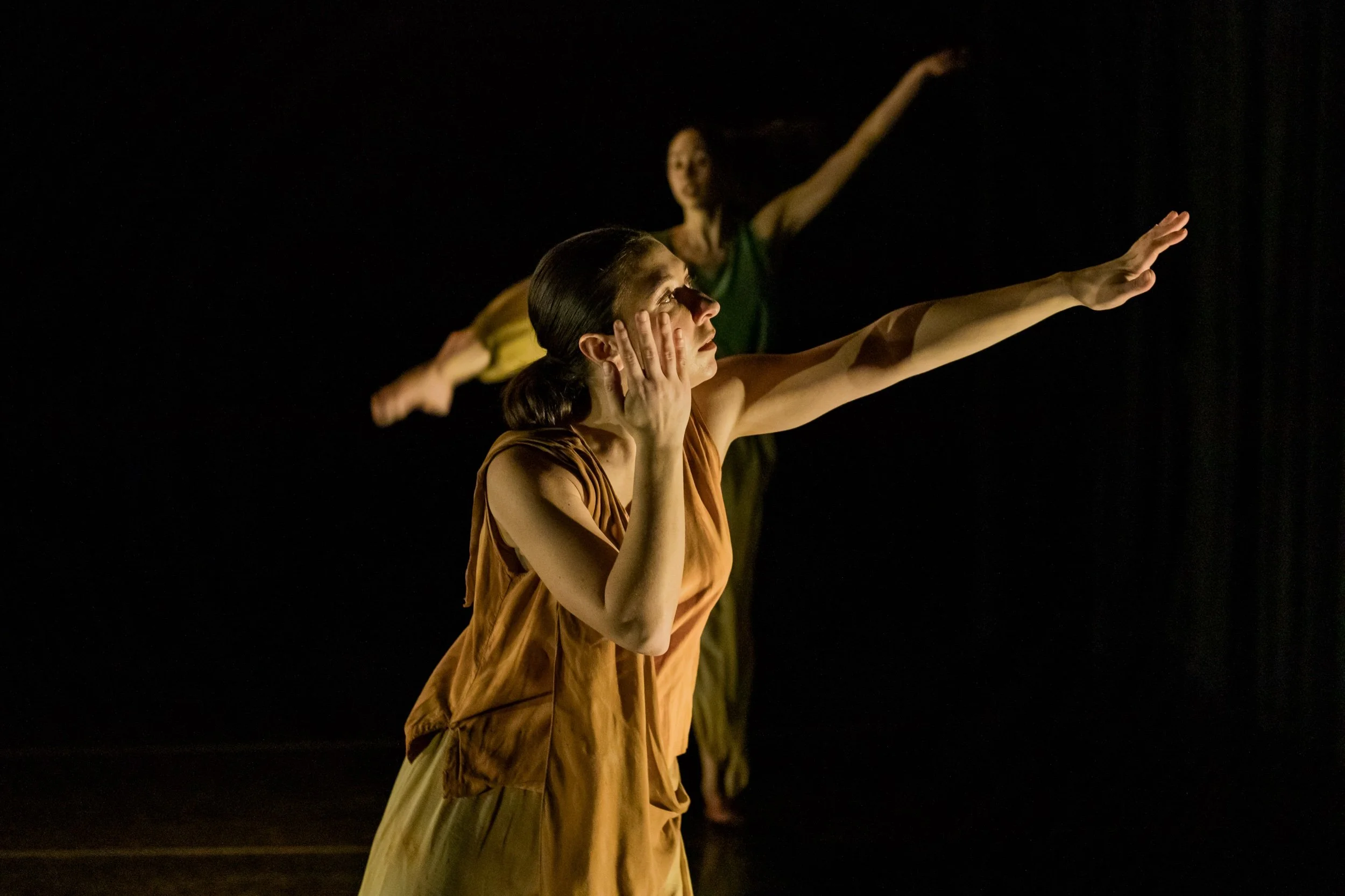 KSD &amp; Kin | January 2024