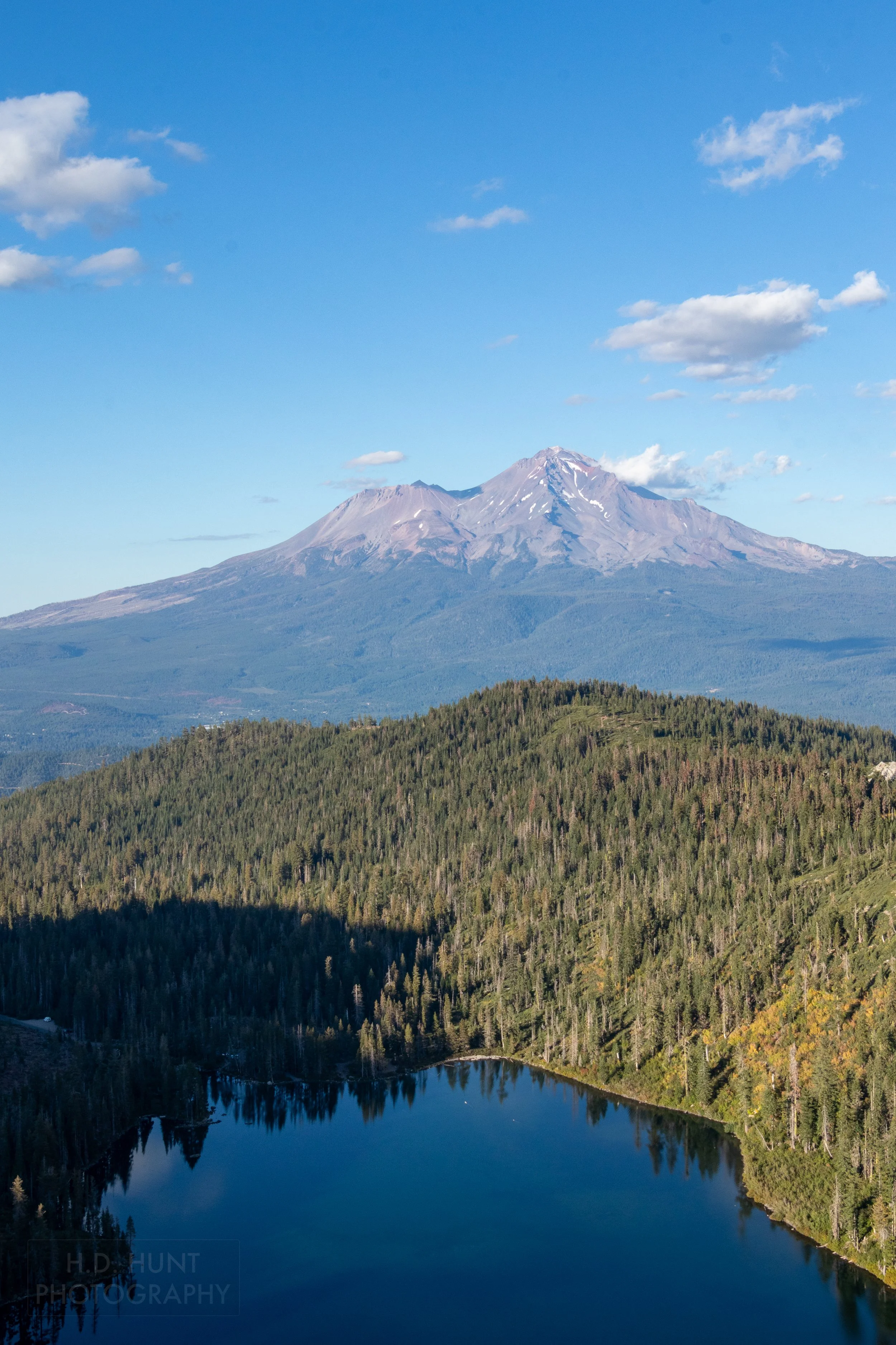 The blue waters of Castle Lake are seen in the foreground, with Mount Shasta in the background, separated by end-to-end groves of pine trees, Shasta-Trinity National Forest, California, United States.
