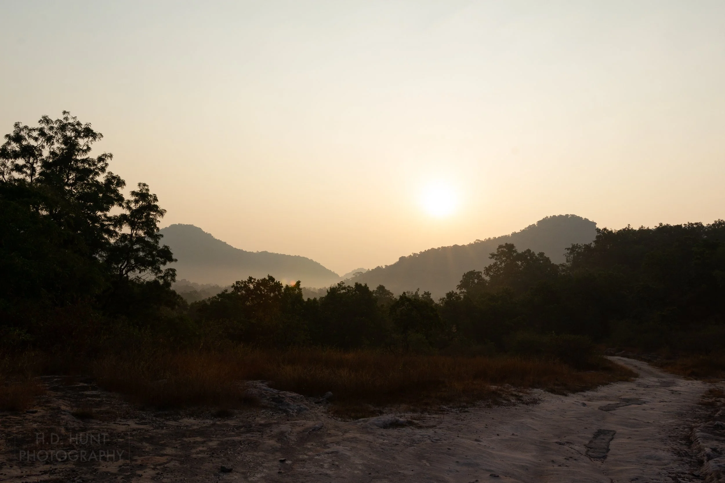 Sunrise illuminates a dirt road and the rolling green hills of Bandhavgarh National Park, India.