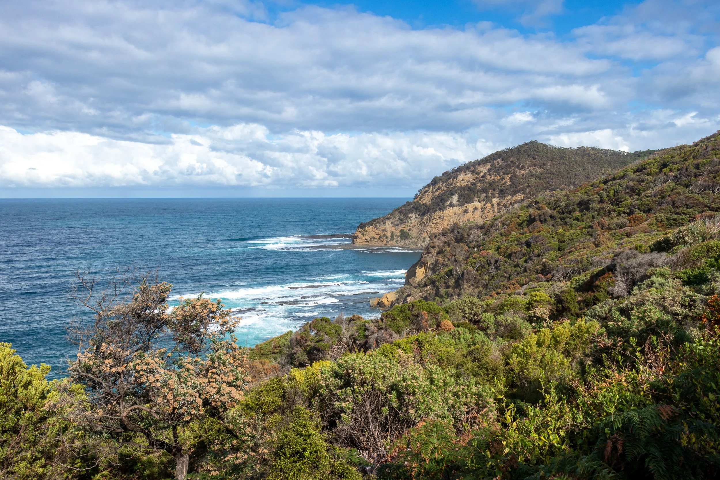 Tall orange cliffs covered with green shrubs sits above the Southern Ocean along The Great Ocean Walk, Victoria, Australia.