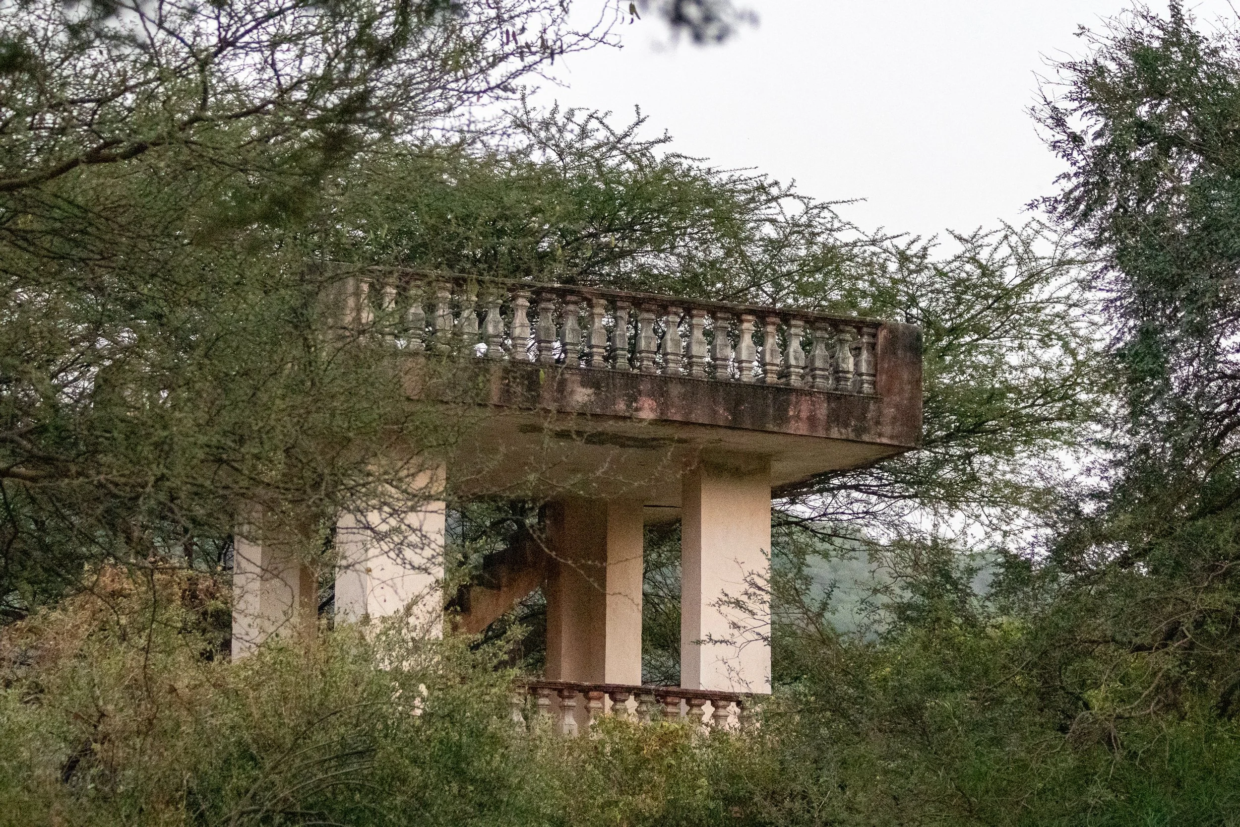 A stone tower is seen behind trees at Jhalana Leopard Reserve, Jaipur, India.
