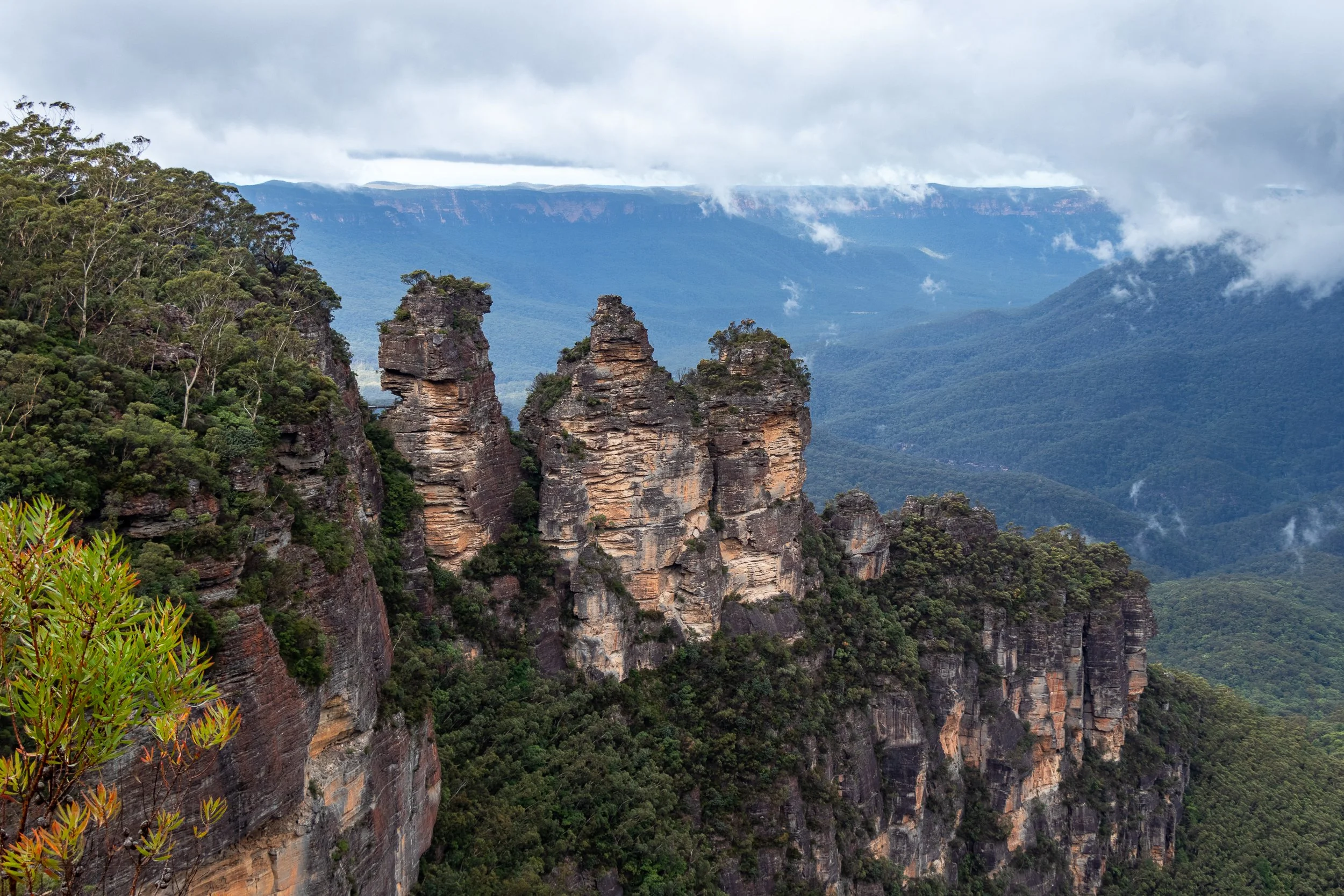 The Three Sisters sandstone column rock formation stands in front of a large foggy valley, Katoomba, Australia.