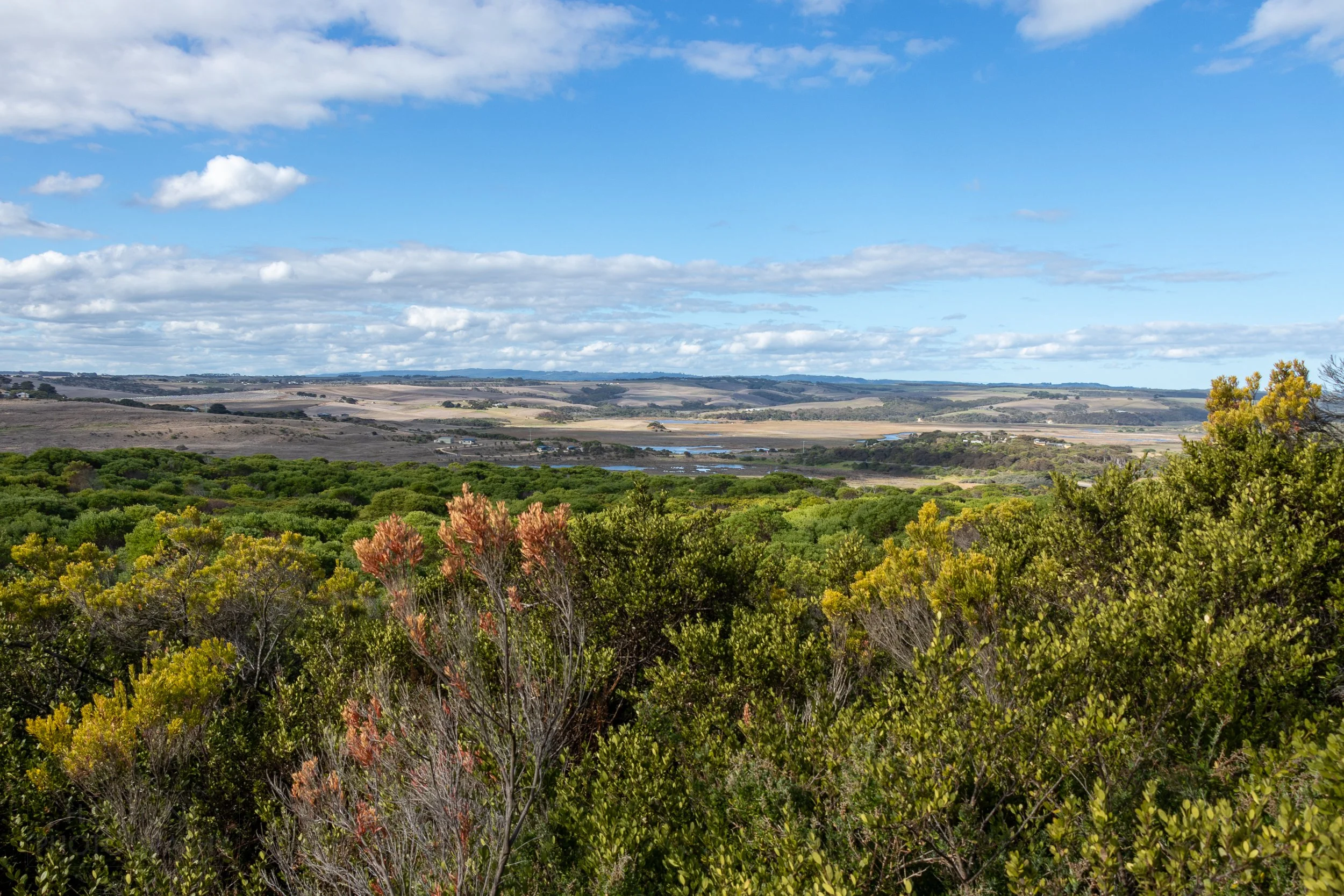 Farmland and grassland is seen behind green shrubs along The Great Ocean Walk, Victoria, Australia.