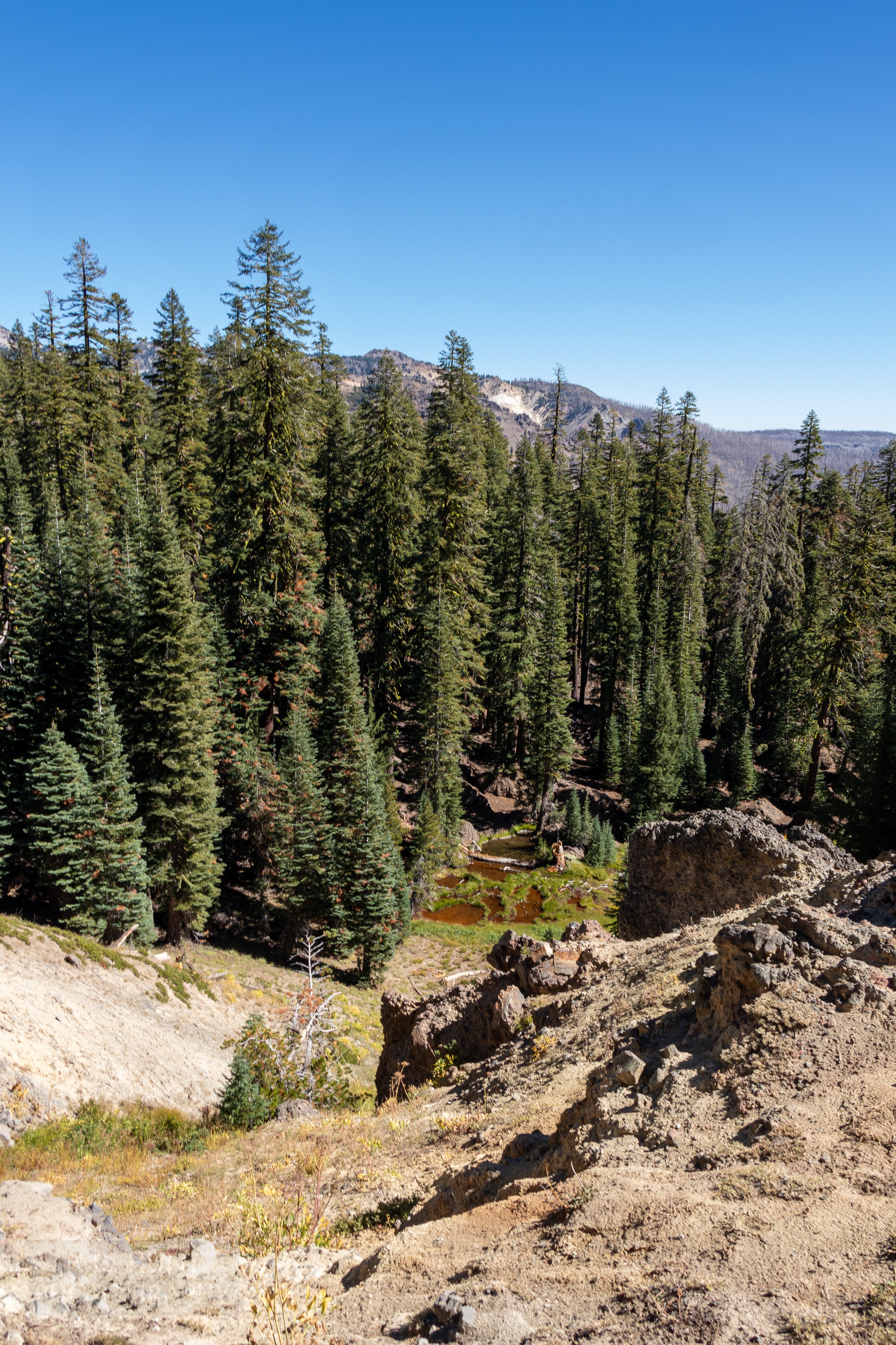 A brown-colored lake is seen from a vantage point above with prominent pine trees behind it, Lassen Volcanic National Park, California, United States.