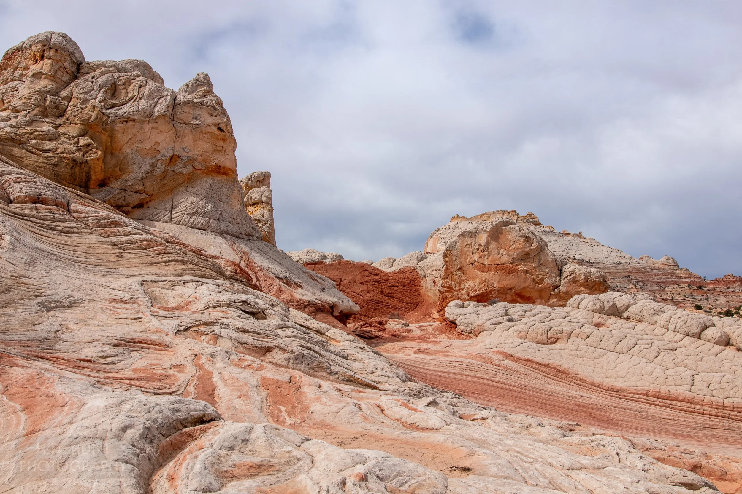 Columns of white rock rise above a red and white sandstone bedrock, White Pocket, Vermillion Cliffs National Monument, Arizona, United States.