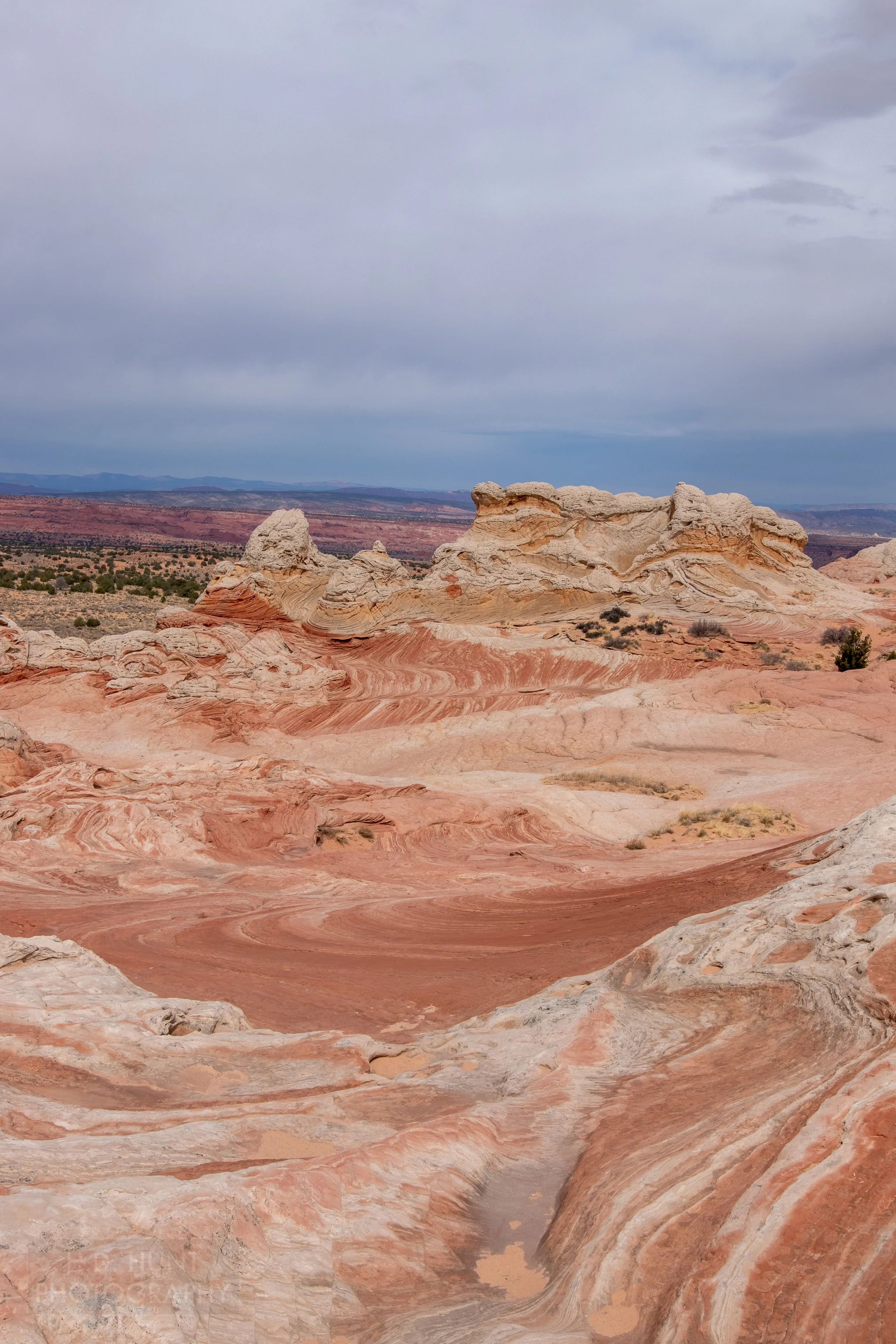 Wavy and striped red and white sandstone bedrock sits in front of a mound of white and tan rock, White Pocket, Vermillion Cliffs National Monument, Arizona, United States.