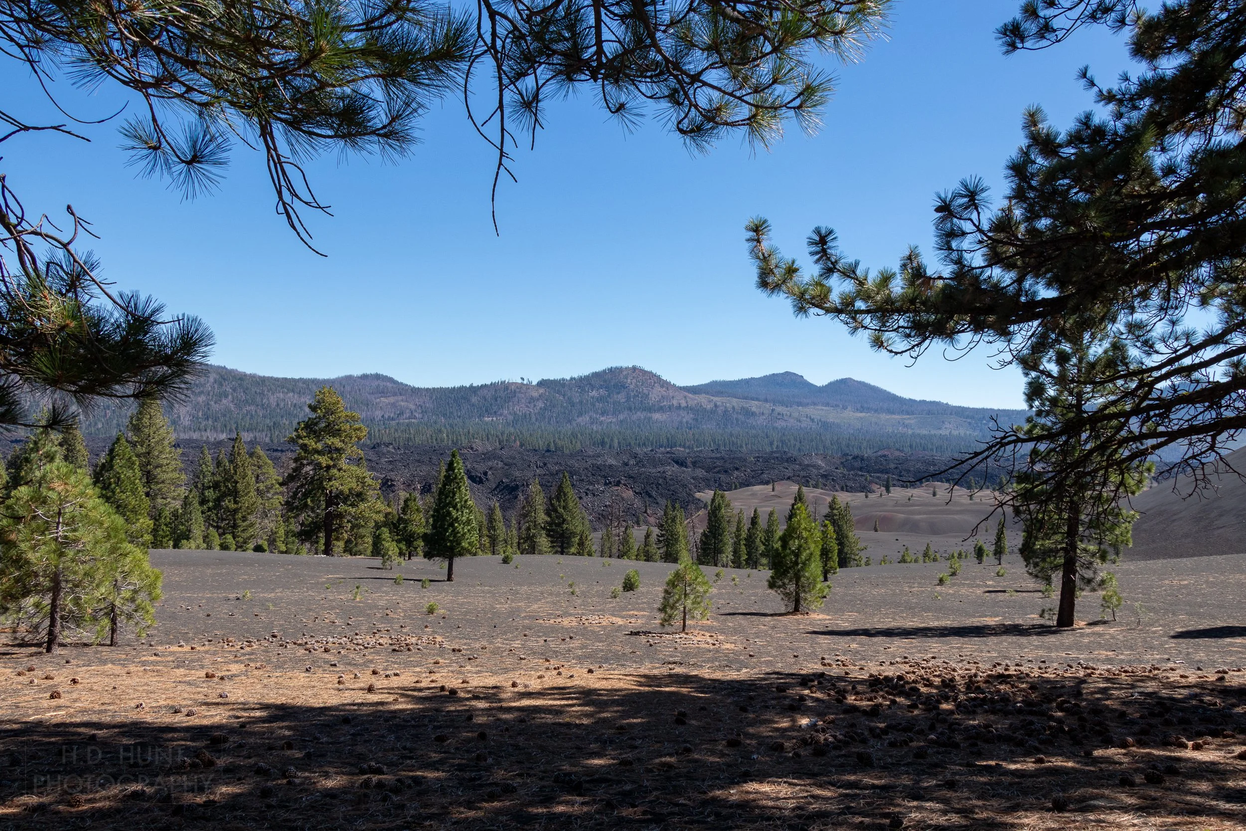 A large black lava flow is seen in the background, spanning the whole field of view, Lassen Volcanic National Park, California, United States.