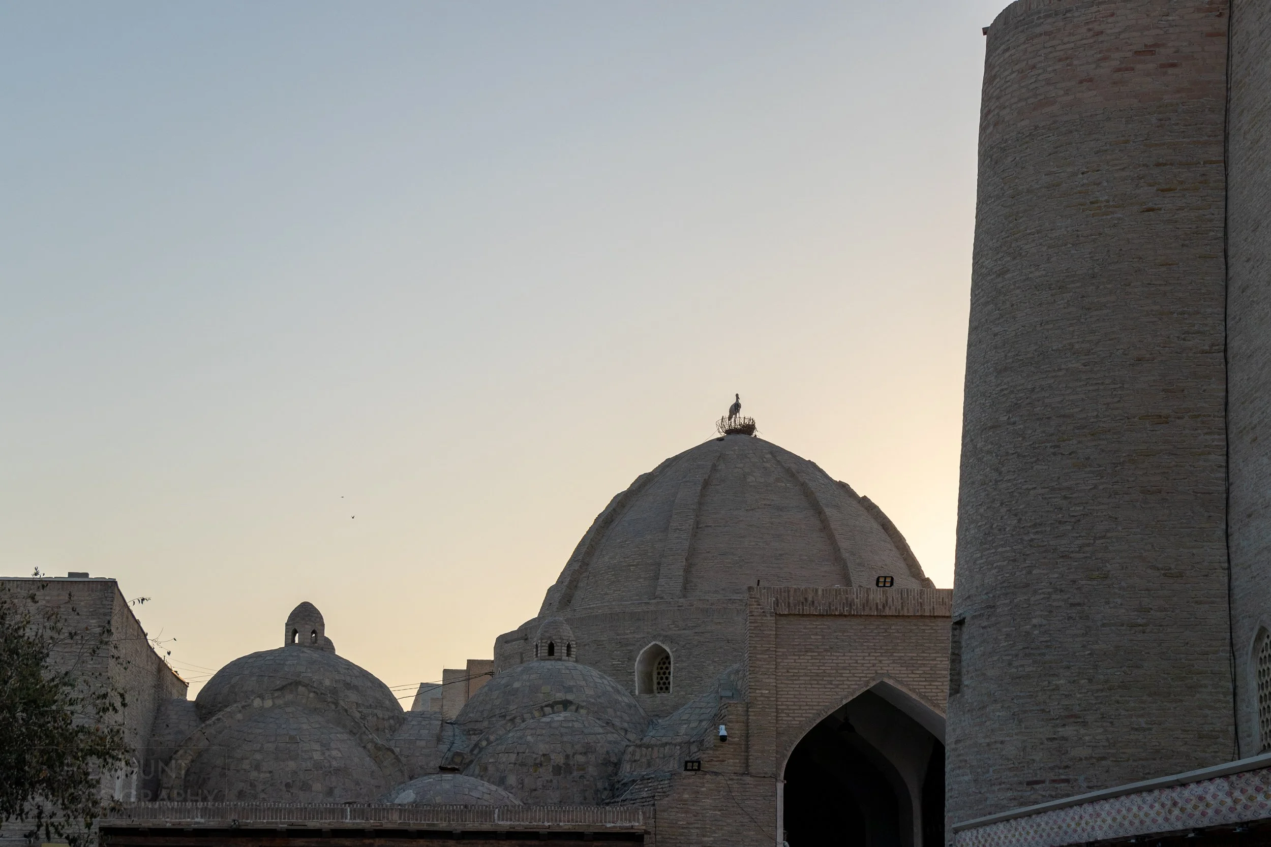 The dome of the Toqi Zargaron trading dome lit by the sunrise, Bukhara, Uzbekistan.