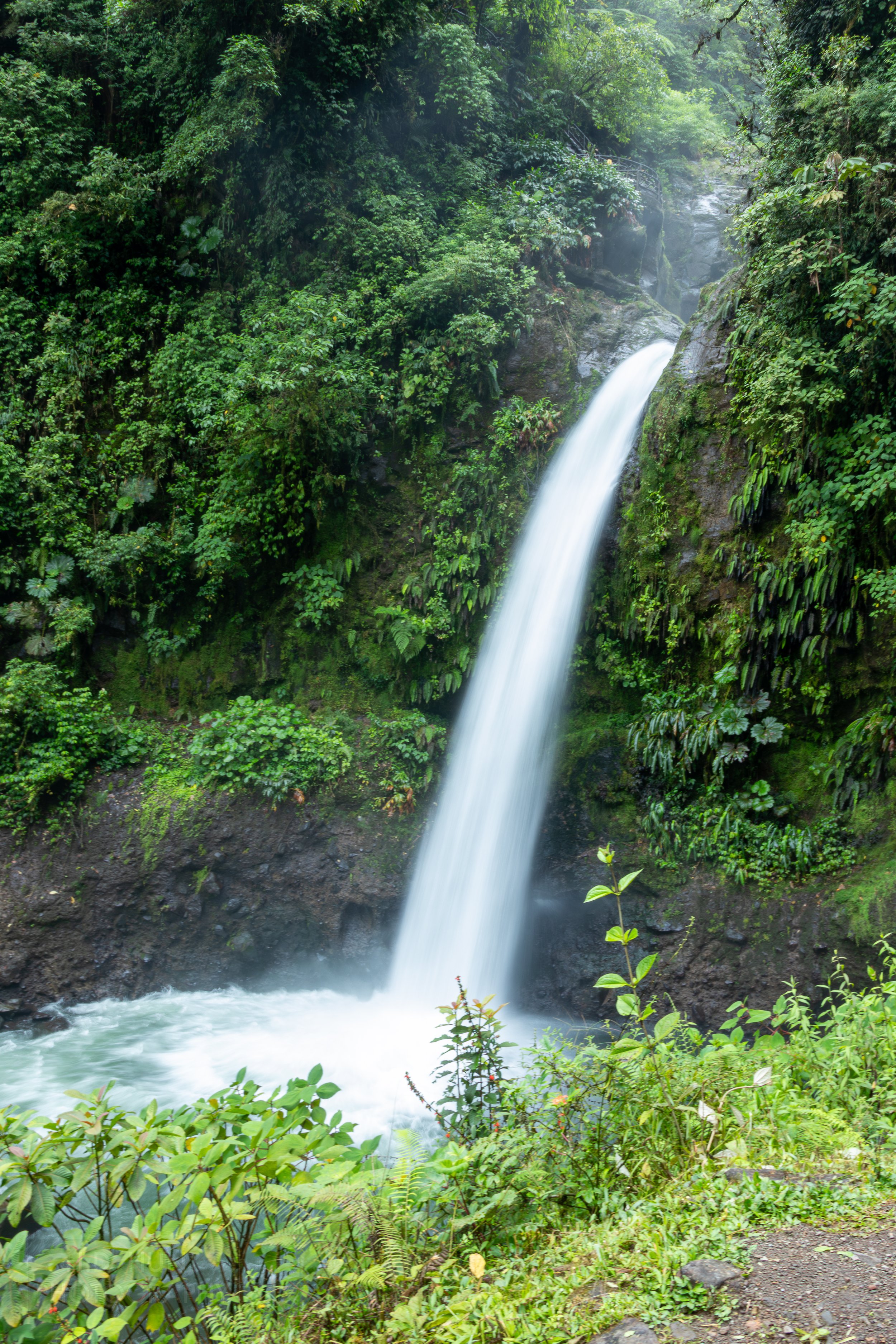 The La Paz Waterfall cascades into a pool of white and green water in the jungle of central Costa Rica.