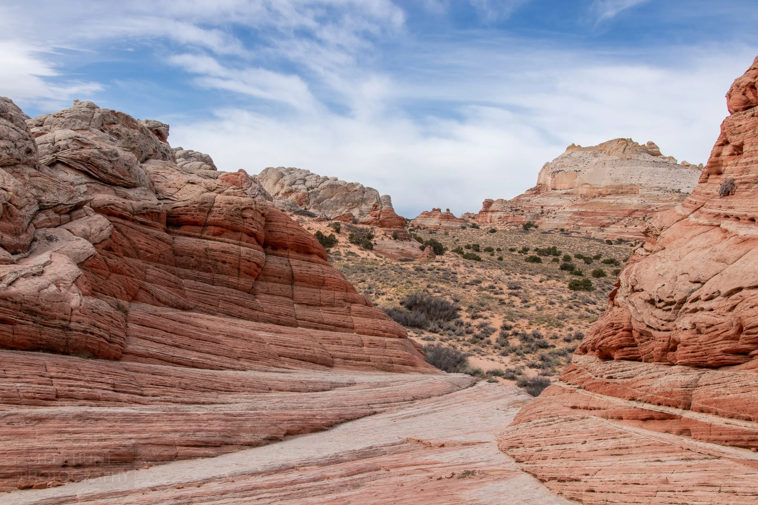 Red and white sandstone rises from the desert floor in White Pocket, Vermillion Cliffs National Monument, Arizona, United States.