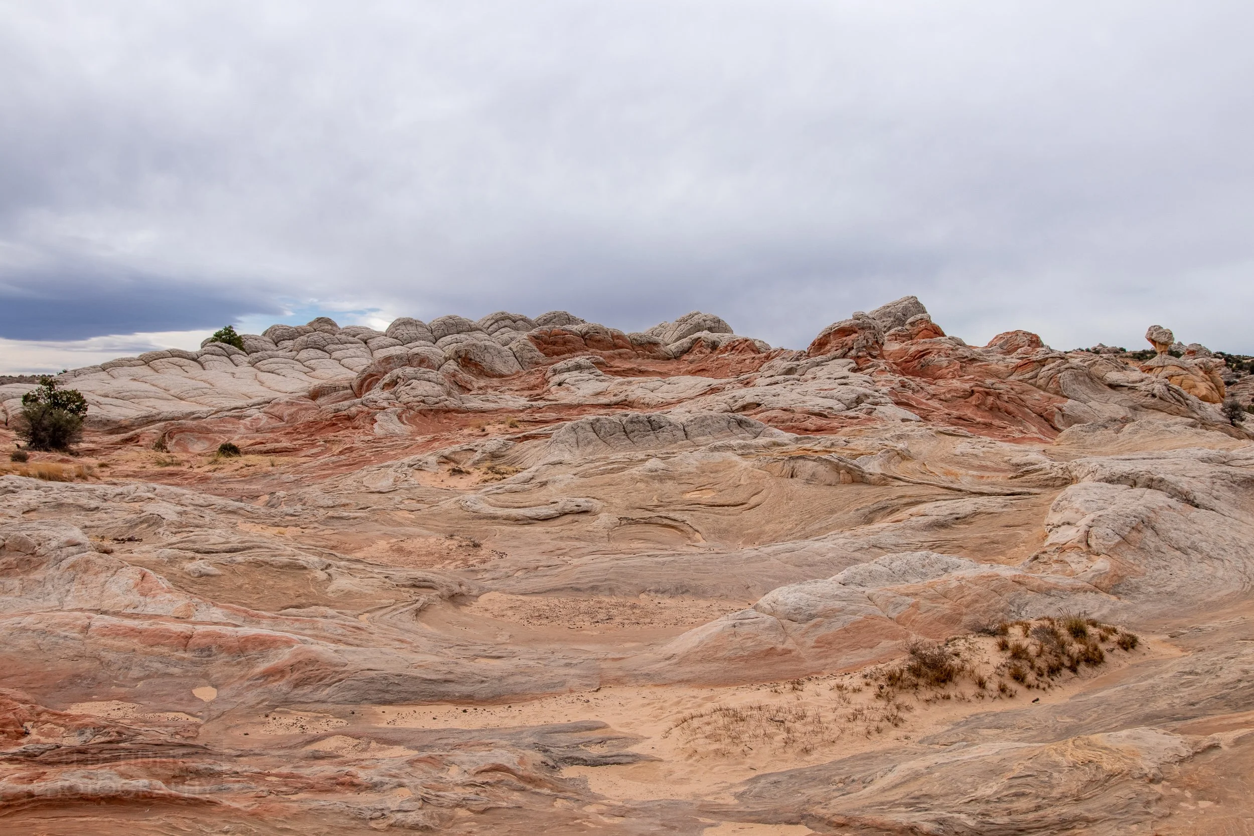 A large hill rises in the desert comprised of folded white rock and hands of red and pink striped sandstone, White Pocket, Vermillion Cliffs National Monument, Arizona, United States.