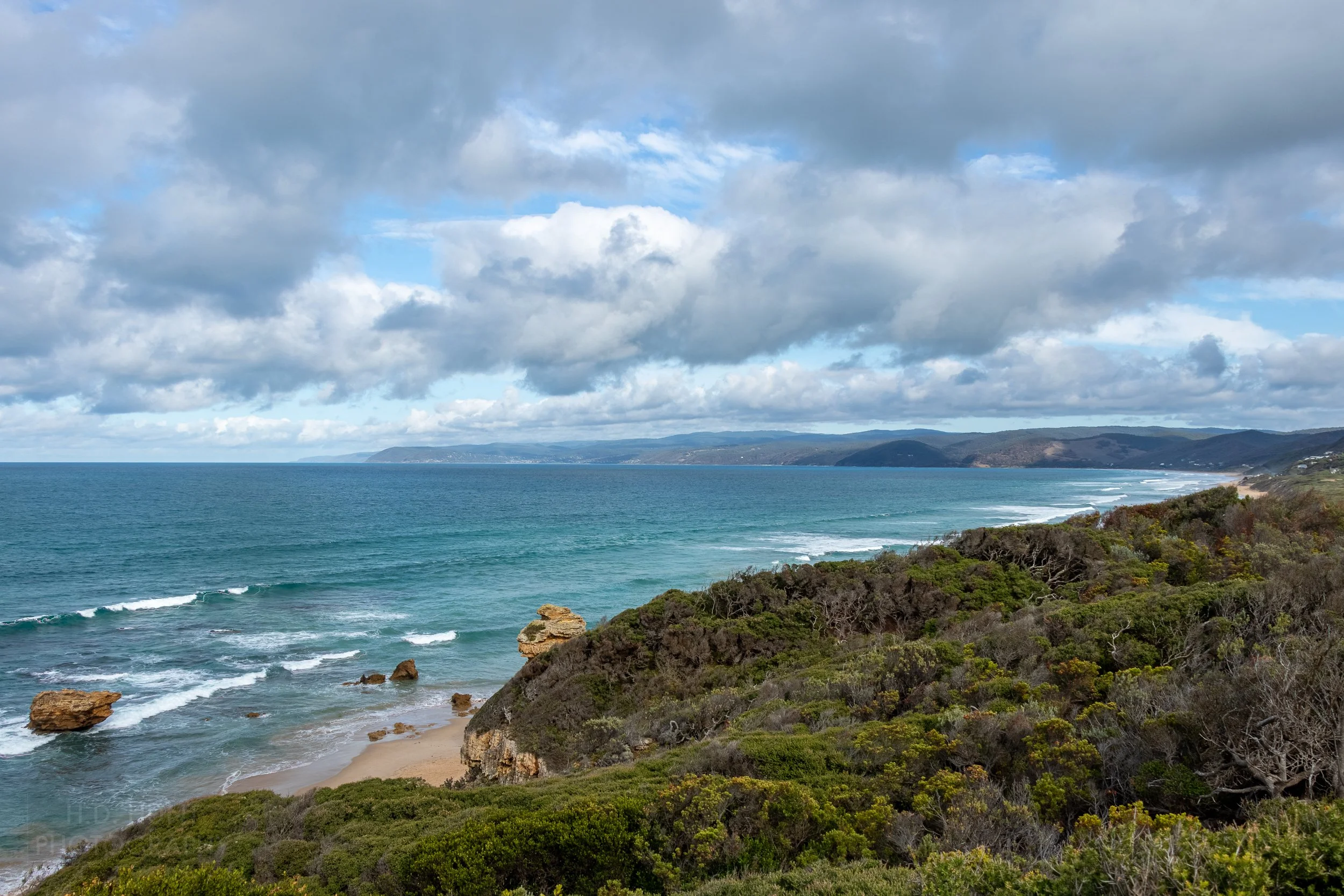 The blue waters of the Bass Strait meet the green trees and shrubs of Victoria at Spit Point, Aireys Inlet, Australia.