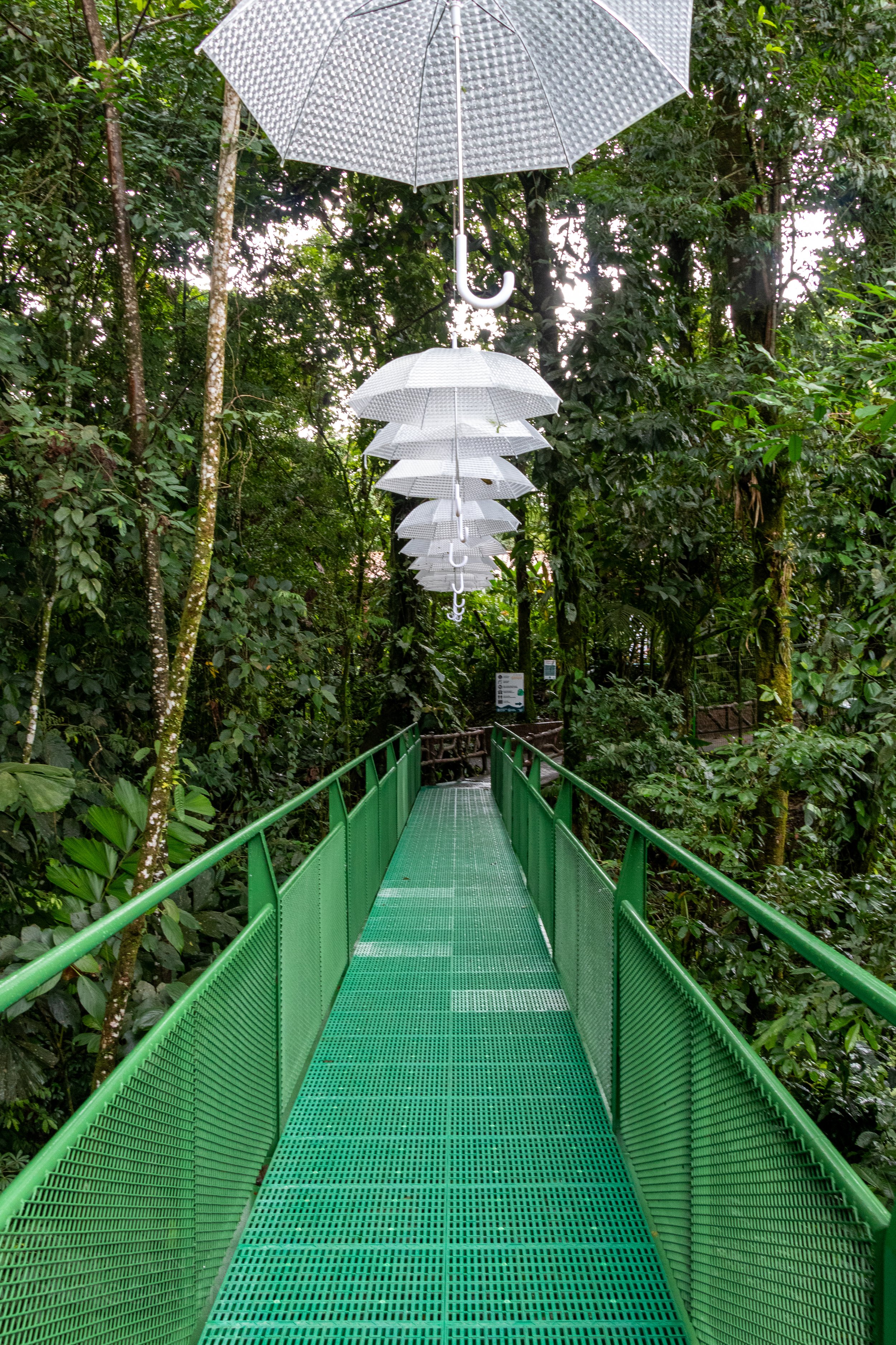 White umbrella decorations hang above a bridge near La Fortuna Waterfall, La Fortuna, Costa Rica.