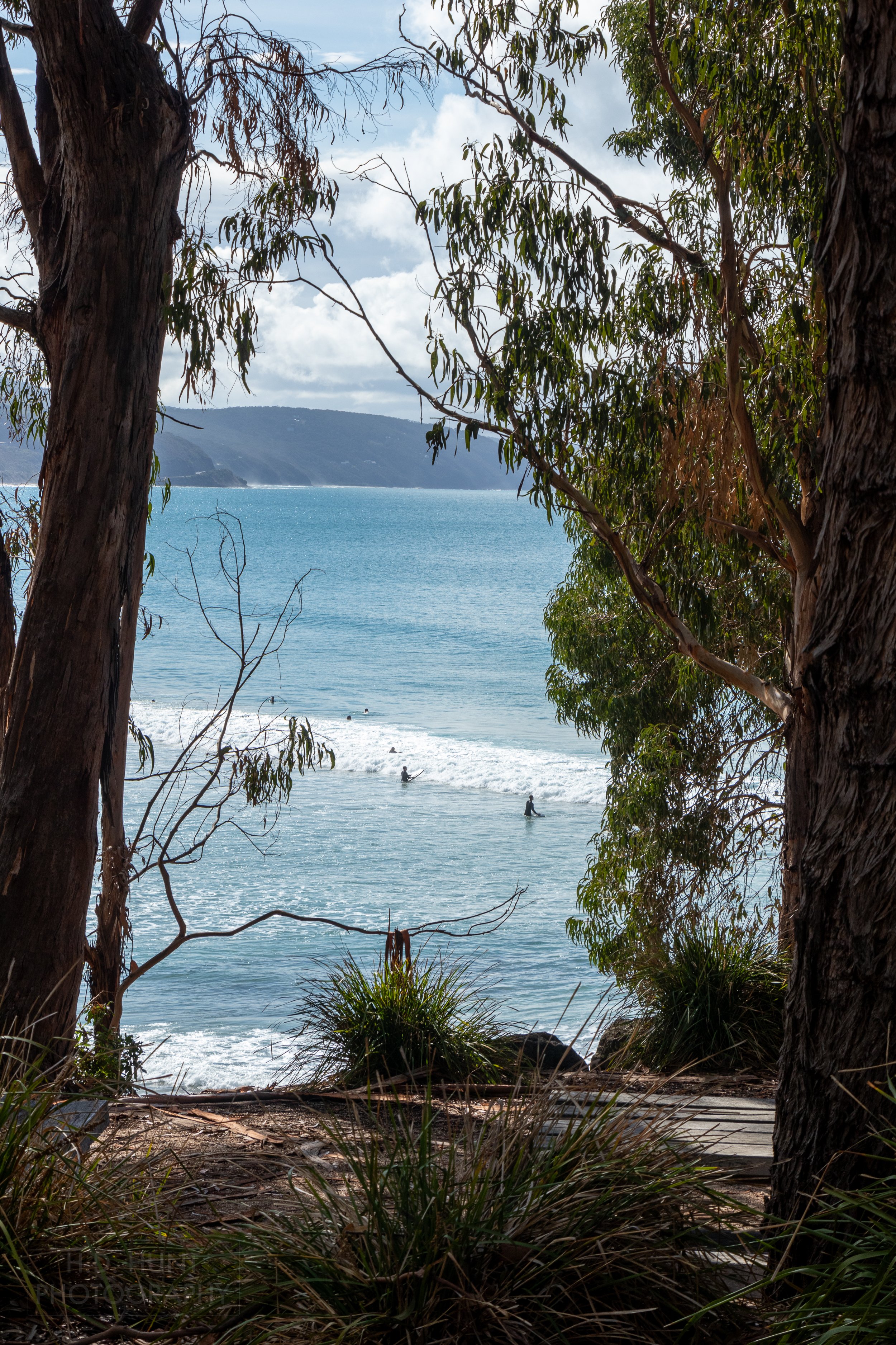 Surfers prepare to ride out into the surf, Lorne, Victoria, Australia.
