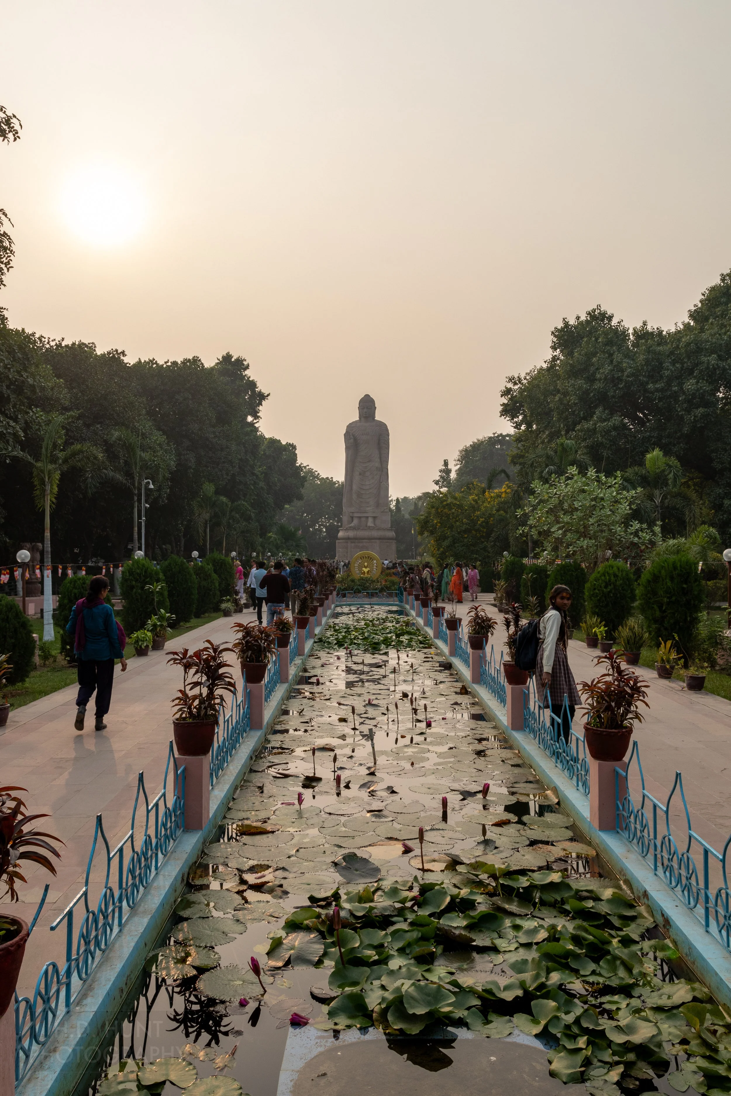 A large Buddha statue in front of a long lily-filled pond, Sarnath, India.