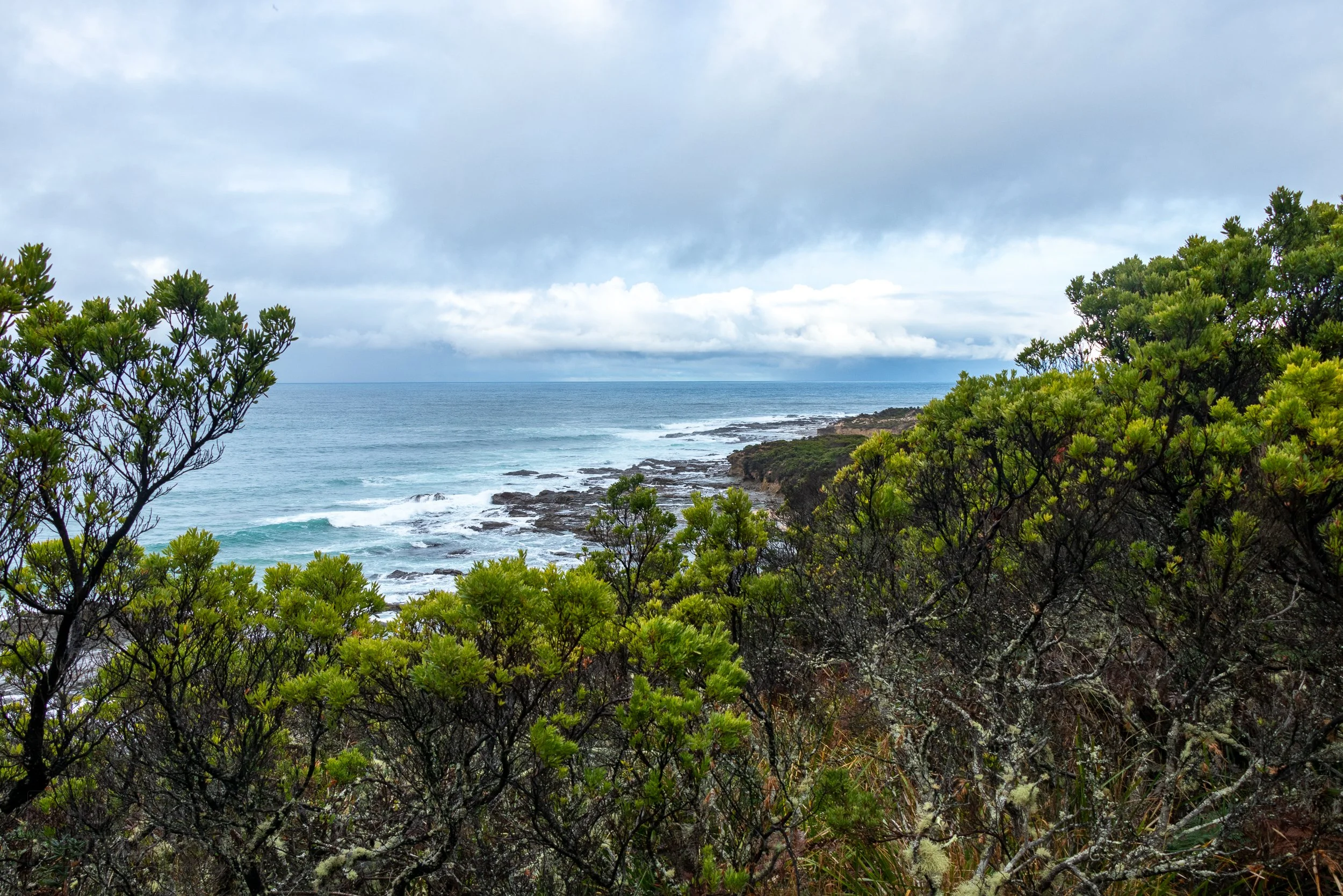 Waves crash into rocks beneath small green plant-covered cliffs along The Great Ocean Walk, Victoria, Australia.
