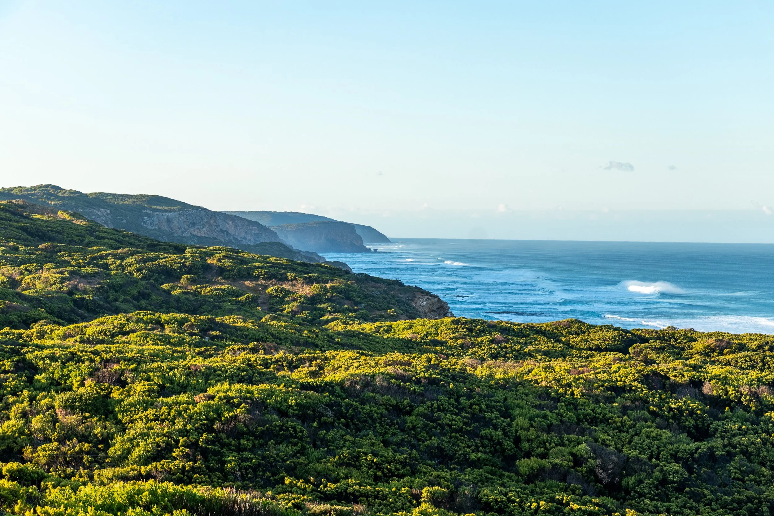 The ocean crashes against cliffs covered with green bushes, as seen from The Great Ocean Walk, Victoria, Australia.