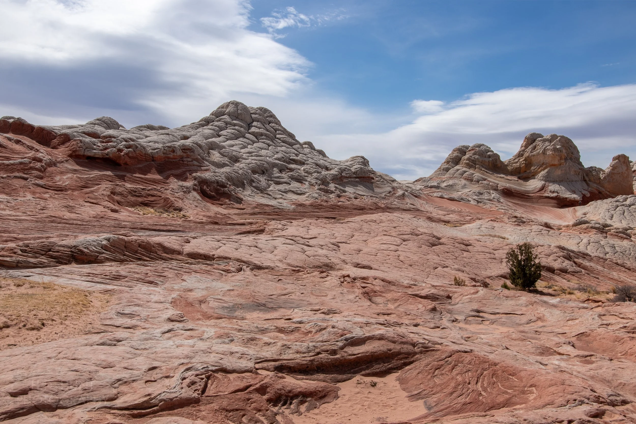 Heavily deformed white rock sits atop a bedrock of striped red and white sandstone, White Pocket, Vermillion Cliffs National Monument, Arizona, United States.
