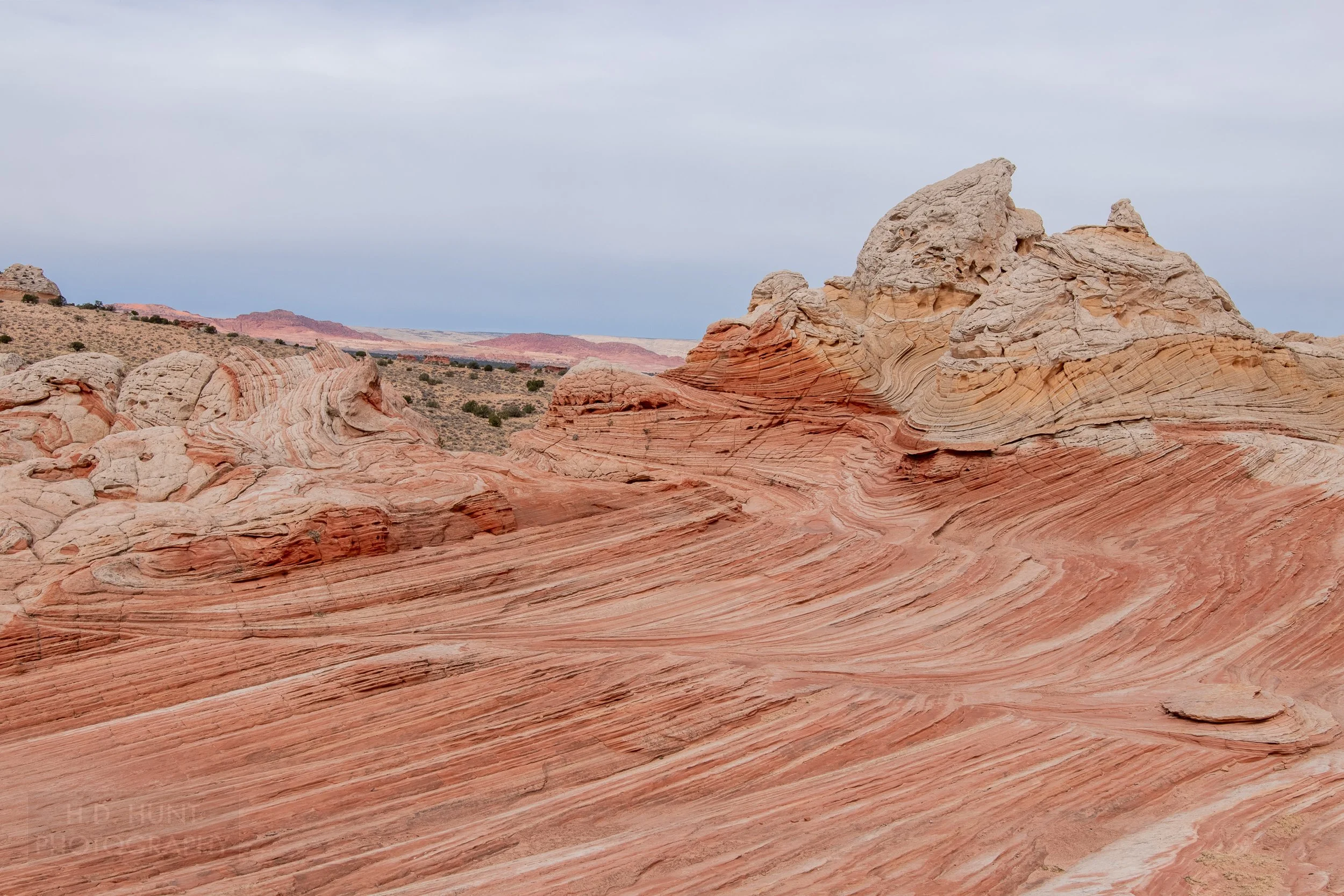 Heavily folded and warped red and white striped sandstone is seen at White Pocket, Vermillion Cliffs National Monument, Arizona, United States.