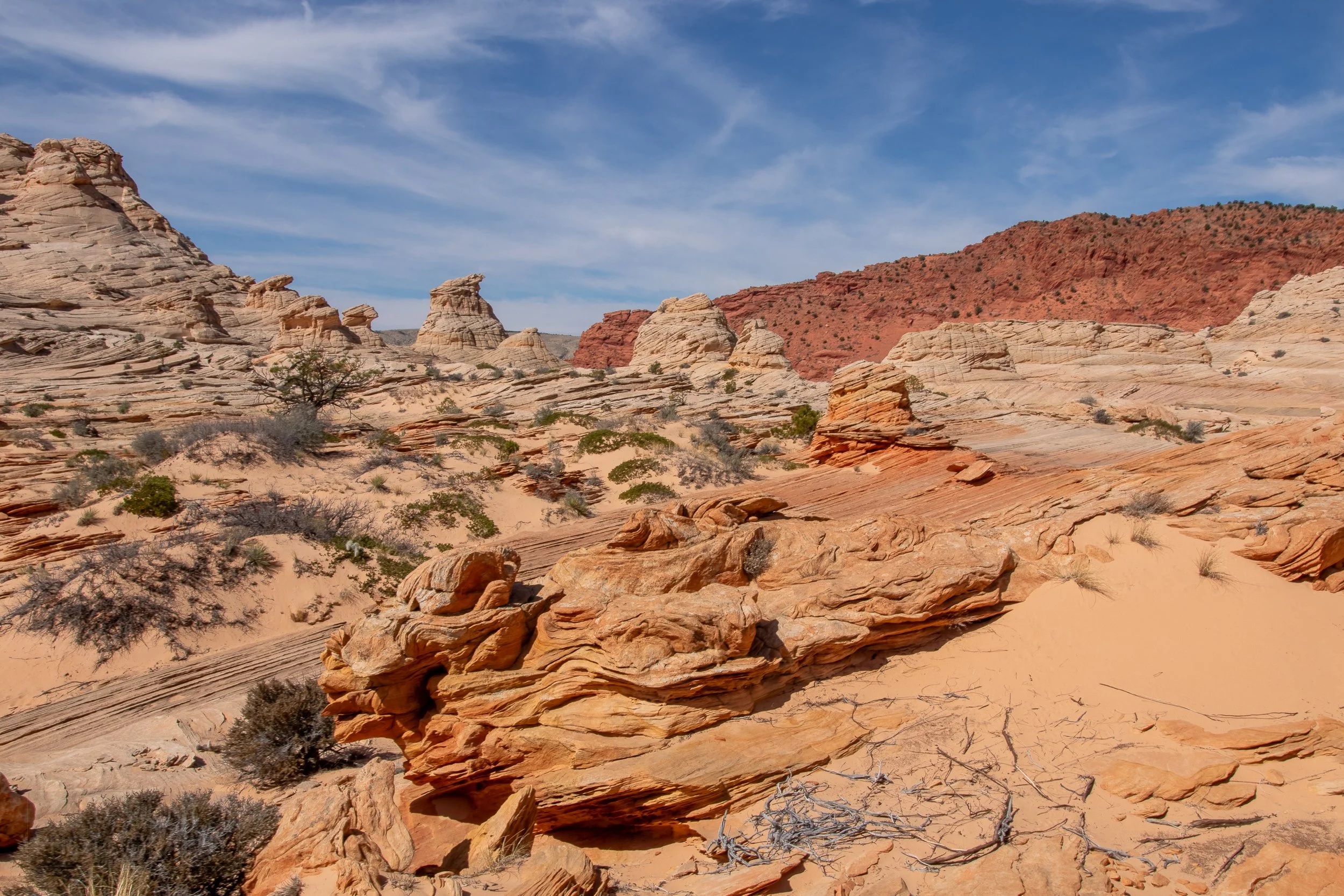 Heavily wind-deformed sandstone rock is seen in Coyote Buttes North, Paria Canyon-Vermilion Cliffs Wilderness, Arizona, United States.