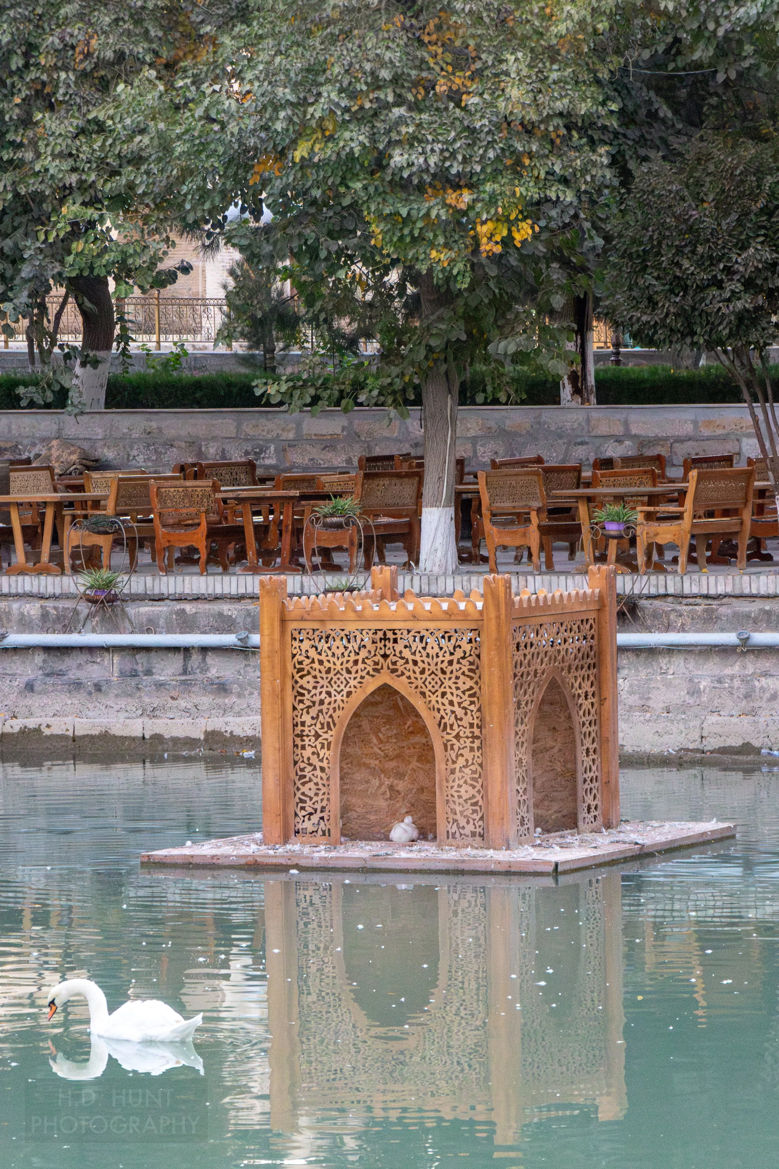 A swan swims across a small pool called a hauz in a square in Bukhara, Uzbekistan.
