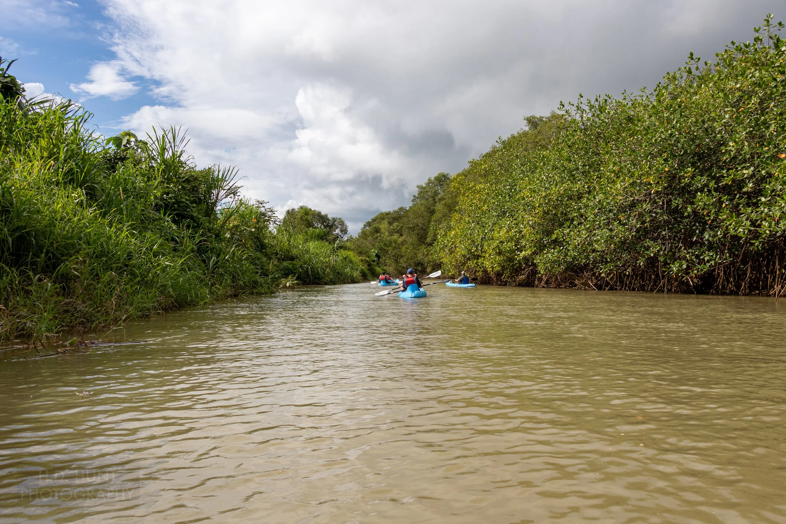 Mangroves grow alongside the Río Cotos outside of Quepos, Costa Rica.