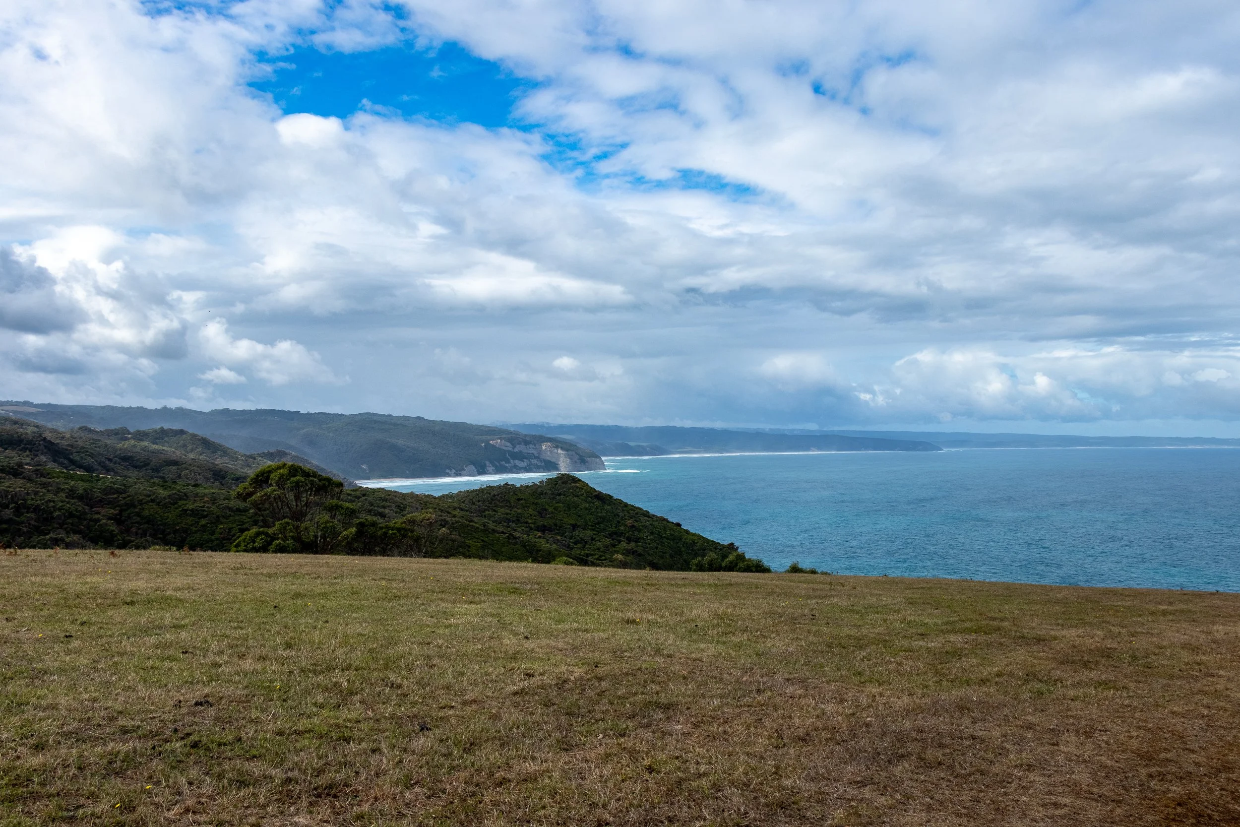 Behind a green field, the Southern Ocean meets tall cliffs, as seen from The Great Ocean Walk, Victoria, Australia.