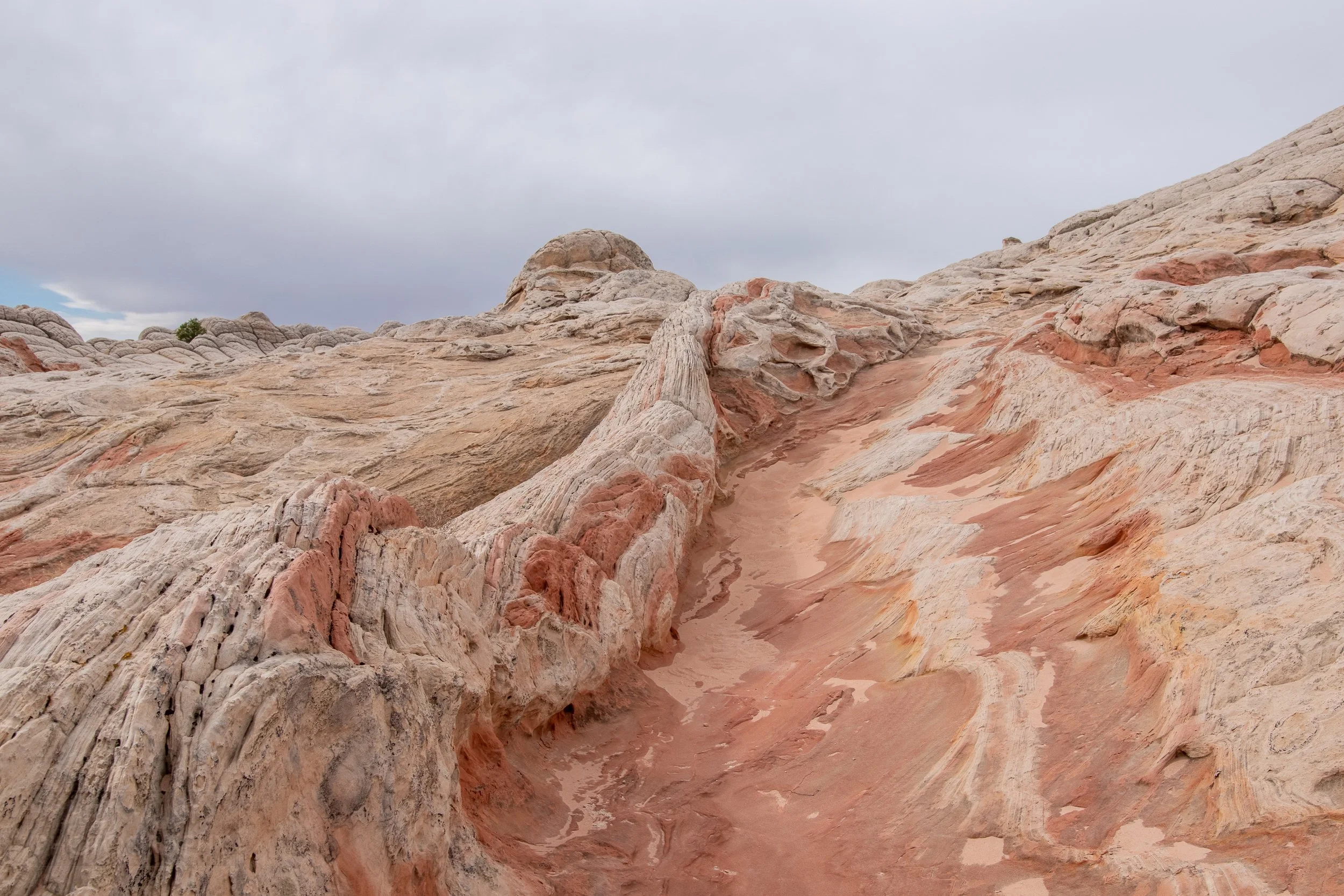 A strip of heavily deformed white rock stands next to red and white striped sandstone, White Pocket, Vermillion Cliffs National Monument, Arizona, United States.