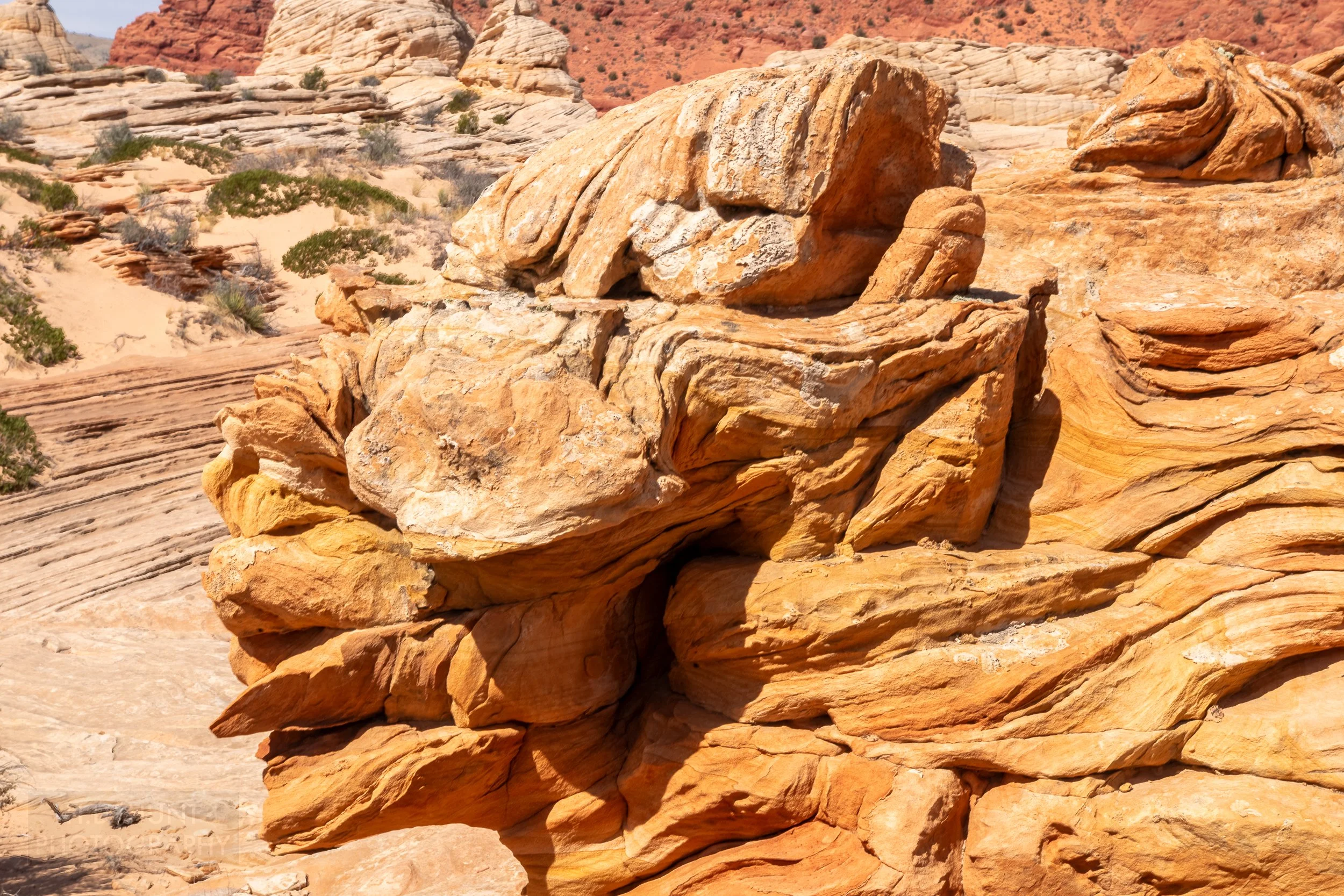 A heavily deformed rock formation resembling a face or a lizard is seen in Coyote Buttes North, Paria Canyon-Vermilion Cliffs Wilderness, Arizona, United States.