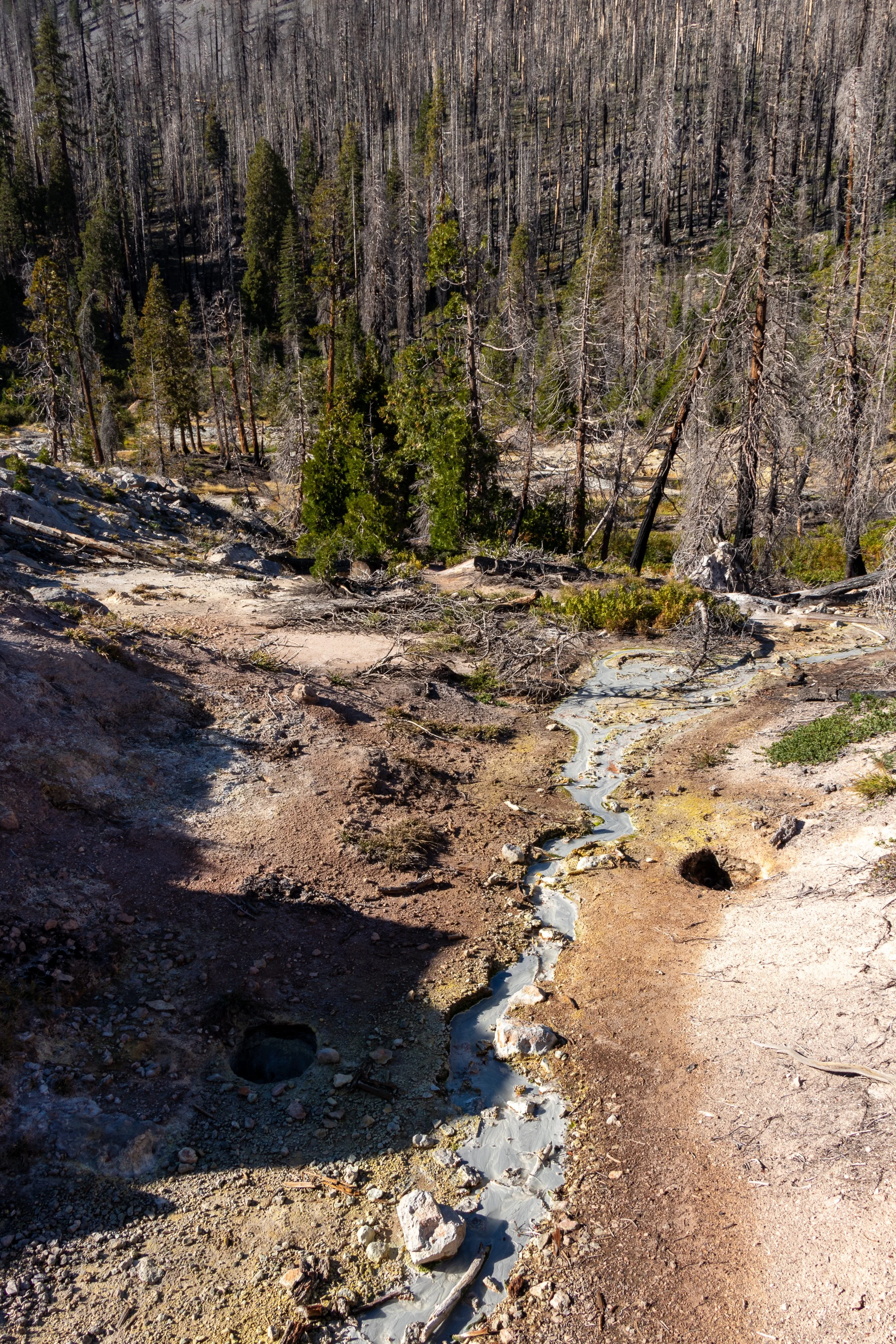 A light blue and grey stream runs across a barren muddy landscape towards a grove of burnt trees, Lassen Volcanic National Park, California, United States.