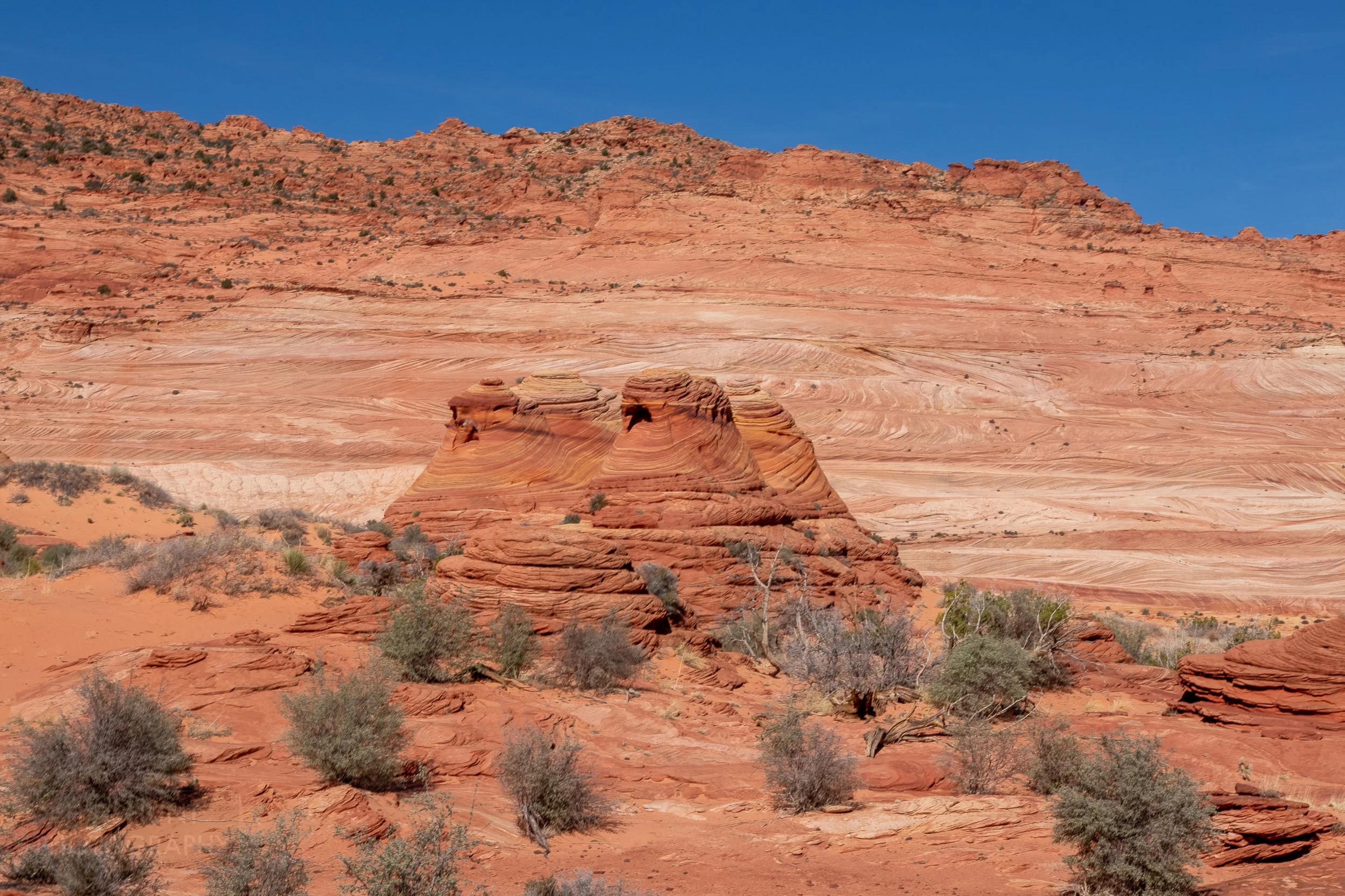 The red pillars of The Mini Wave are seen rising from the desert floor in Coyote Buttes North, Paria Canyon-Vermilion Cliffs Wilderness, Arizona, United States.