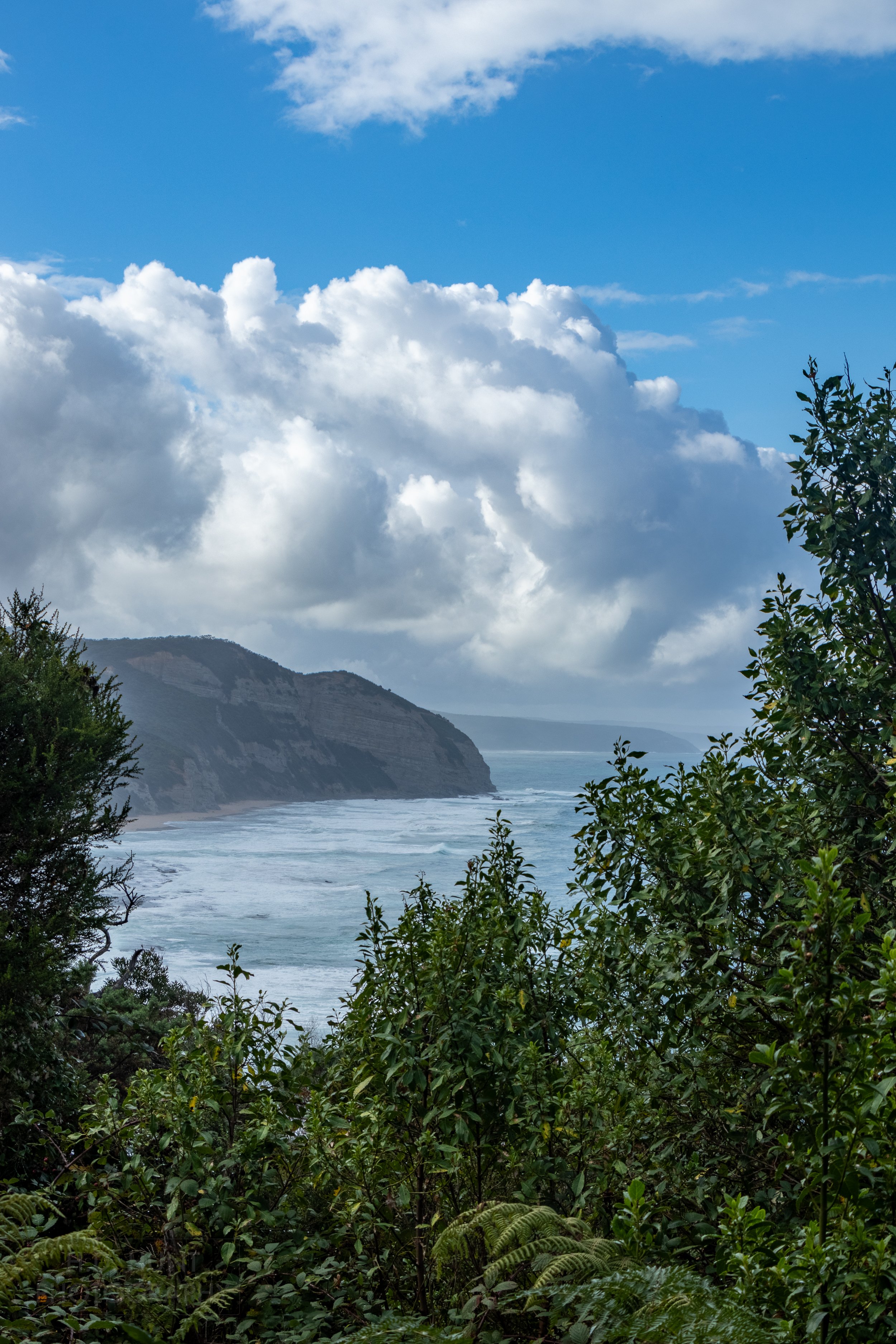 Behind green trees, the ocean is seen crashing against tall white chalk cliffs, as seen from The Great Ocean Walk, Victoria, Australia.