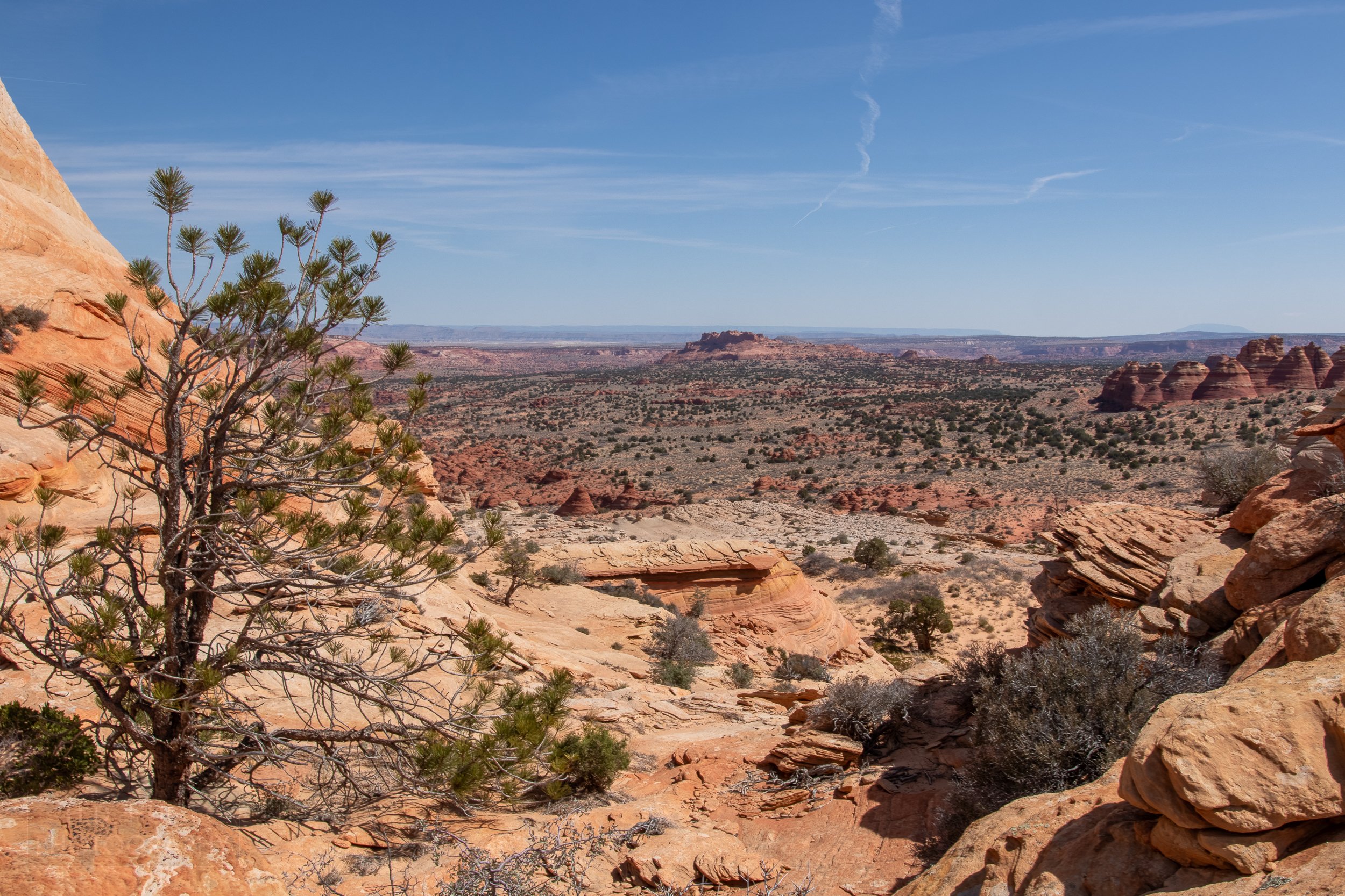 Scrub-covered sandstone hills give way to broad desert flats in Coyote Buttes North, Paria Canyon-Vermilion Cliffs Wilderness, Arizona, United States.