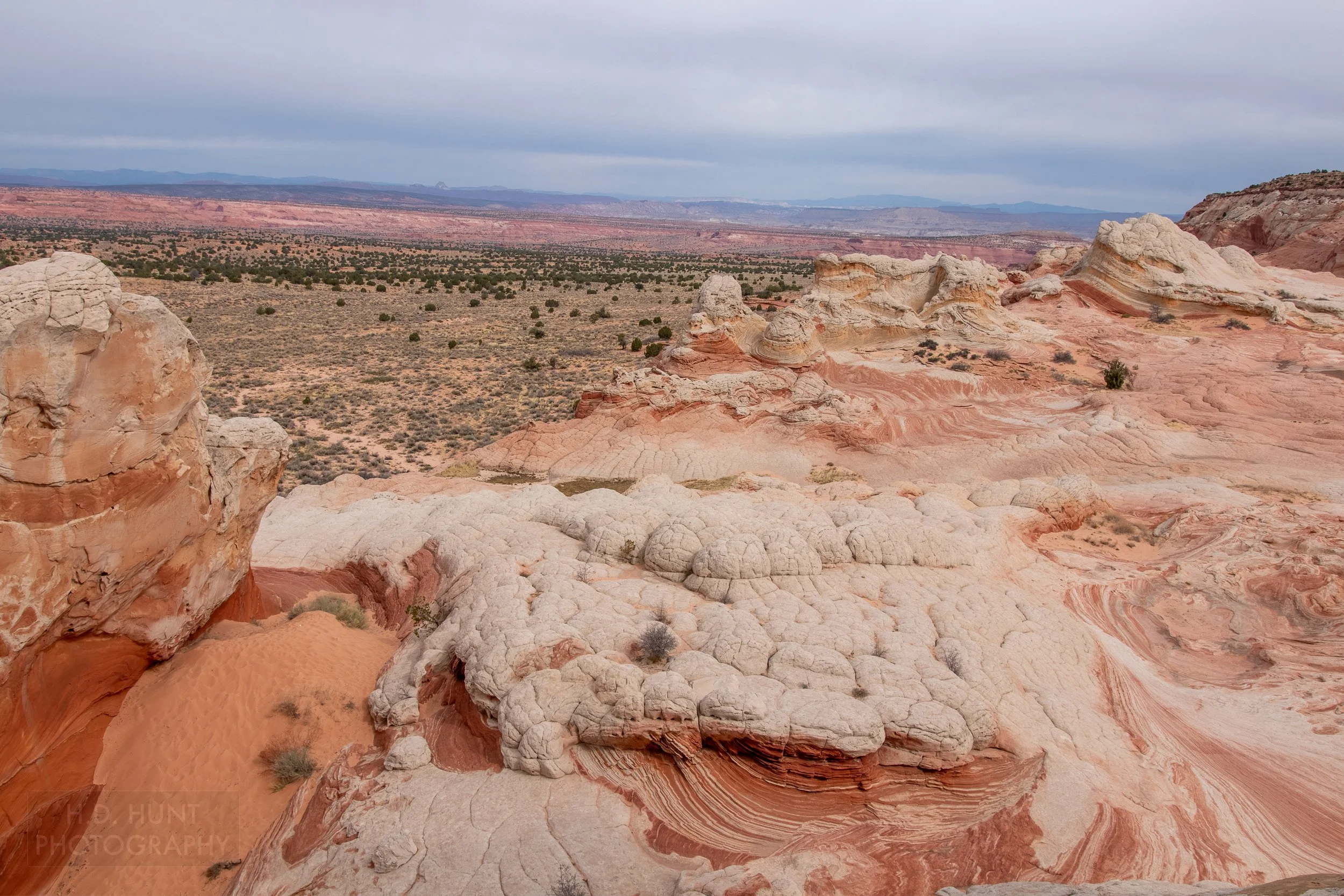 A bluff of folded and deformed white rock with underlying layers of red and white striped sandstone stands above a high desert floor in White Pocket, Vermillion Cliffs National Monument, Arizona, United States.