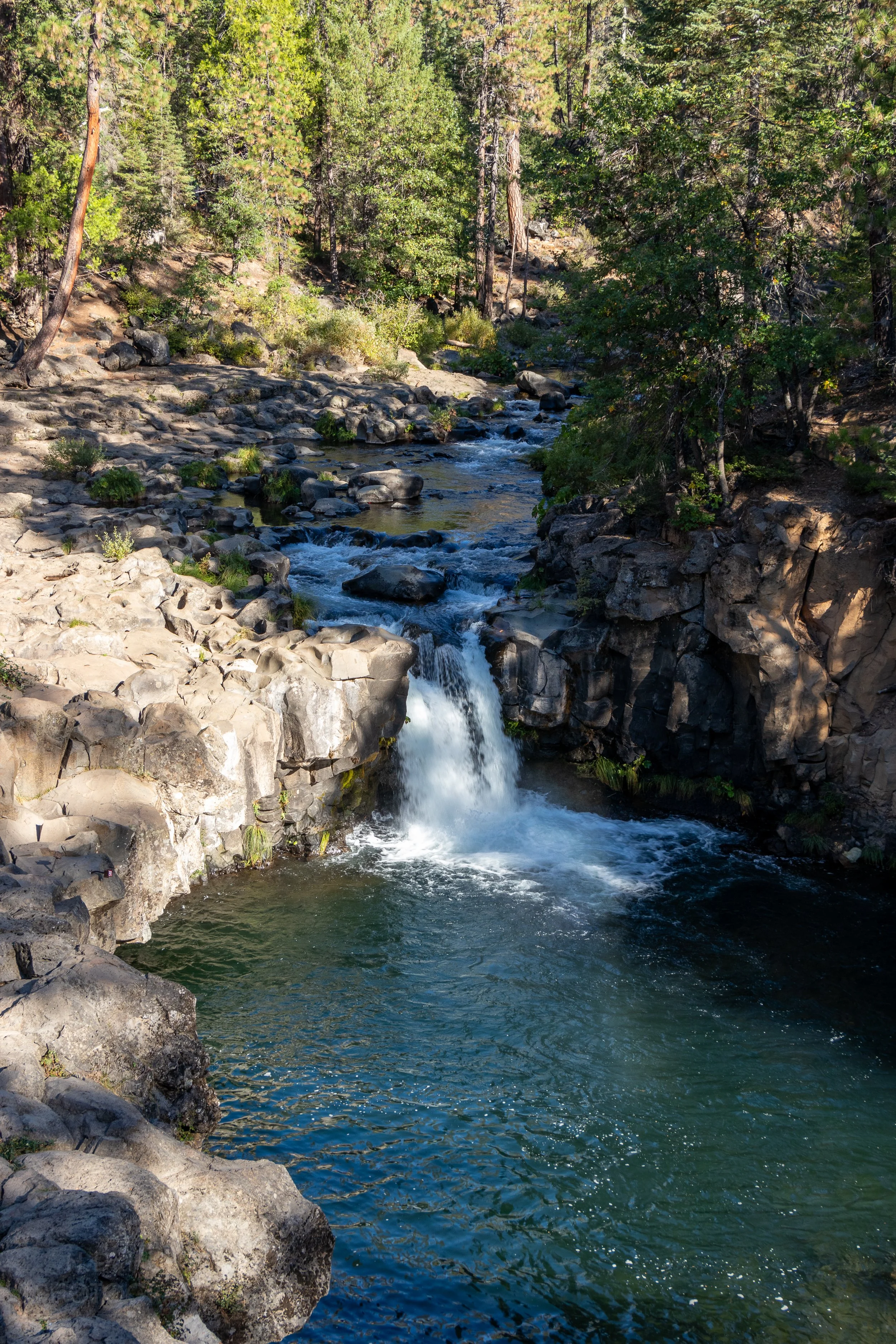 The McCloud River falls over a small cliff of dark-colored rock, California, United States.