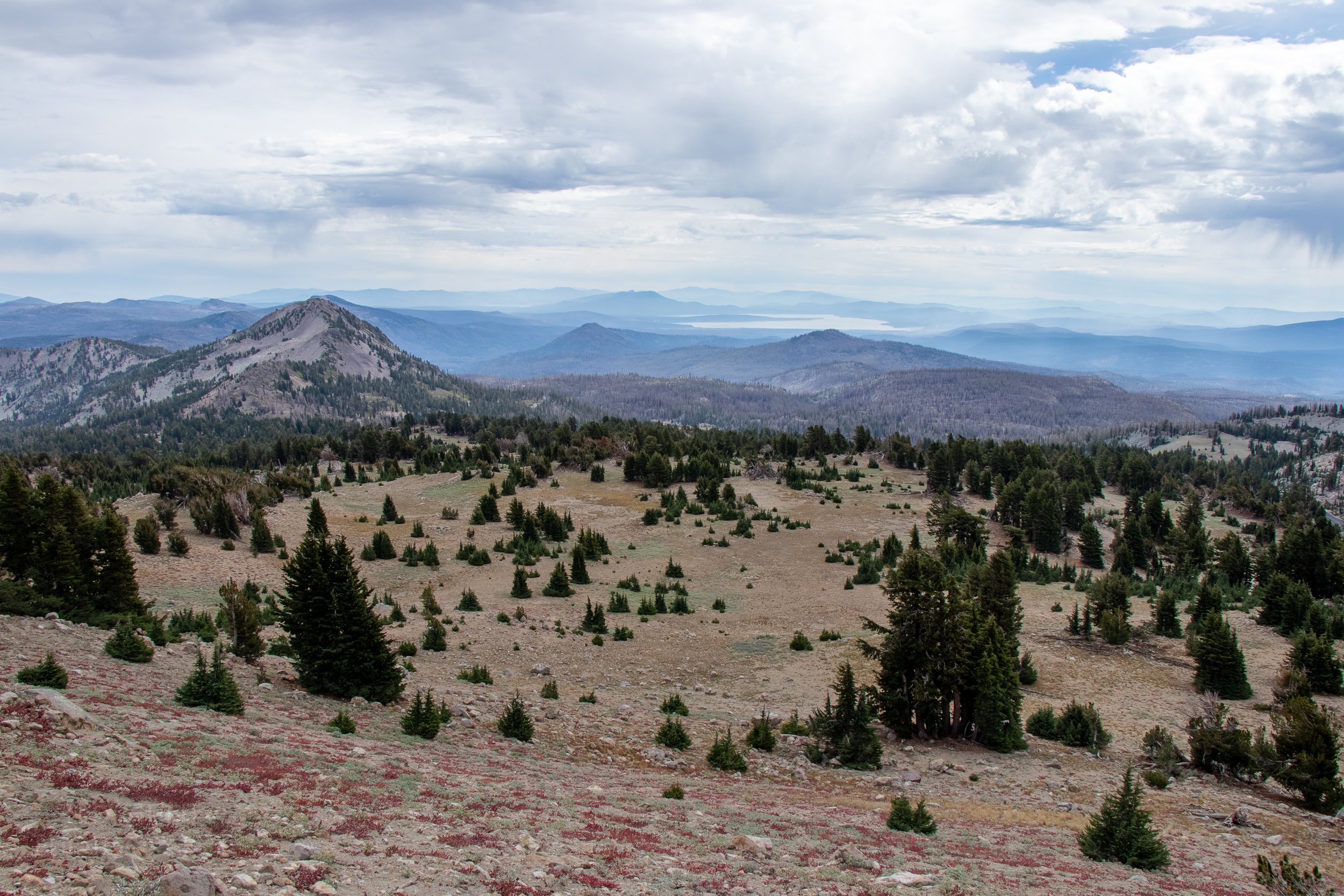 A green meadow with pine trees is seen rolling away towards a distant lake from Lassen Peak, Lassen Volcanic National Park, California, United States.