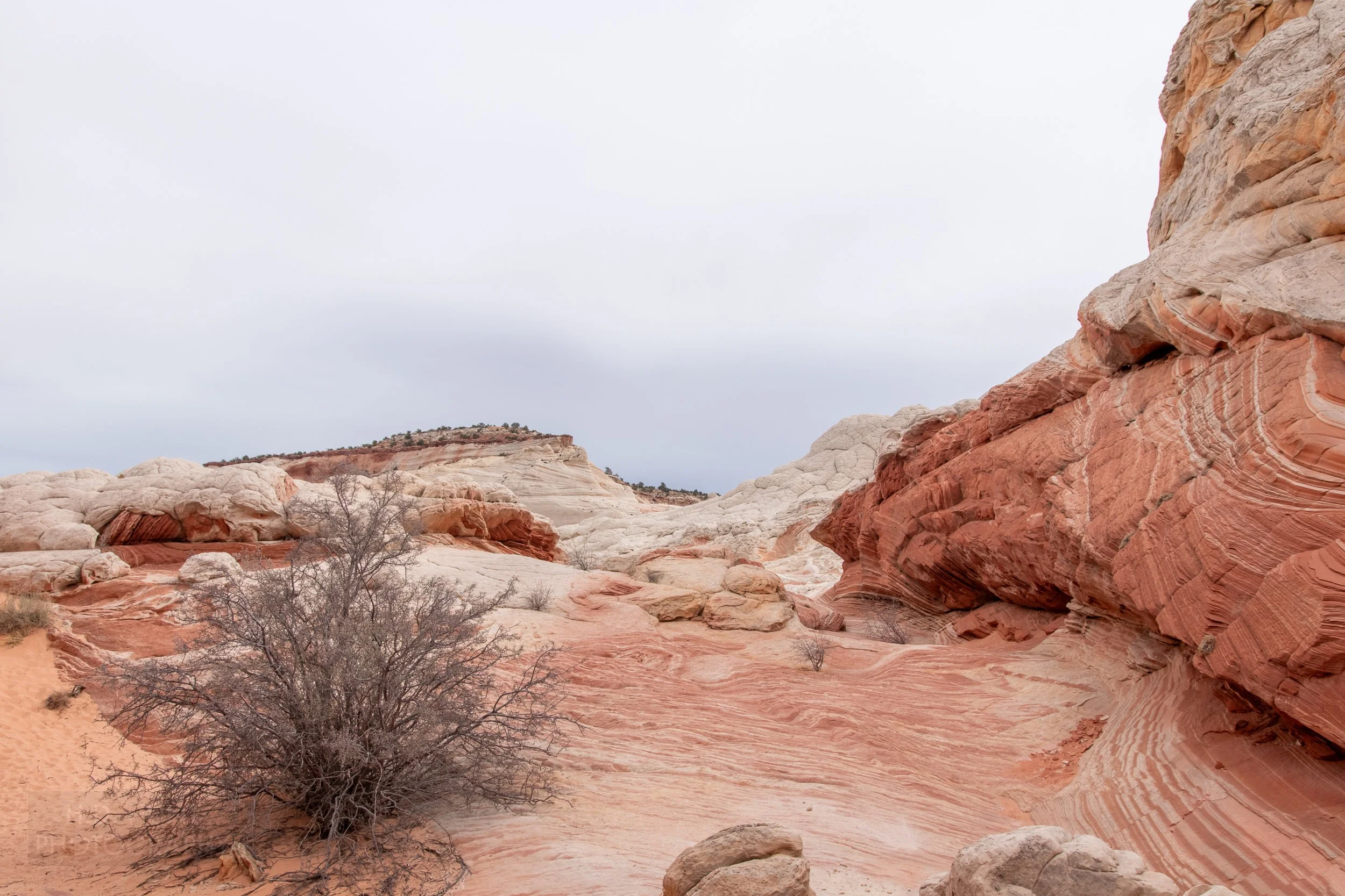 Striations of white and red are seen in folded sandstone within White Pocket, Vermillion Cliffs National Monument, Arizona, United States.