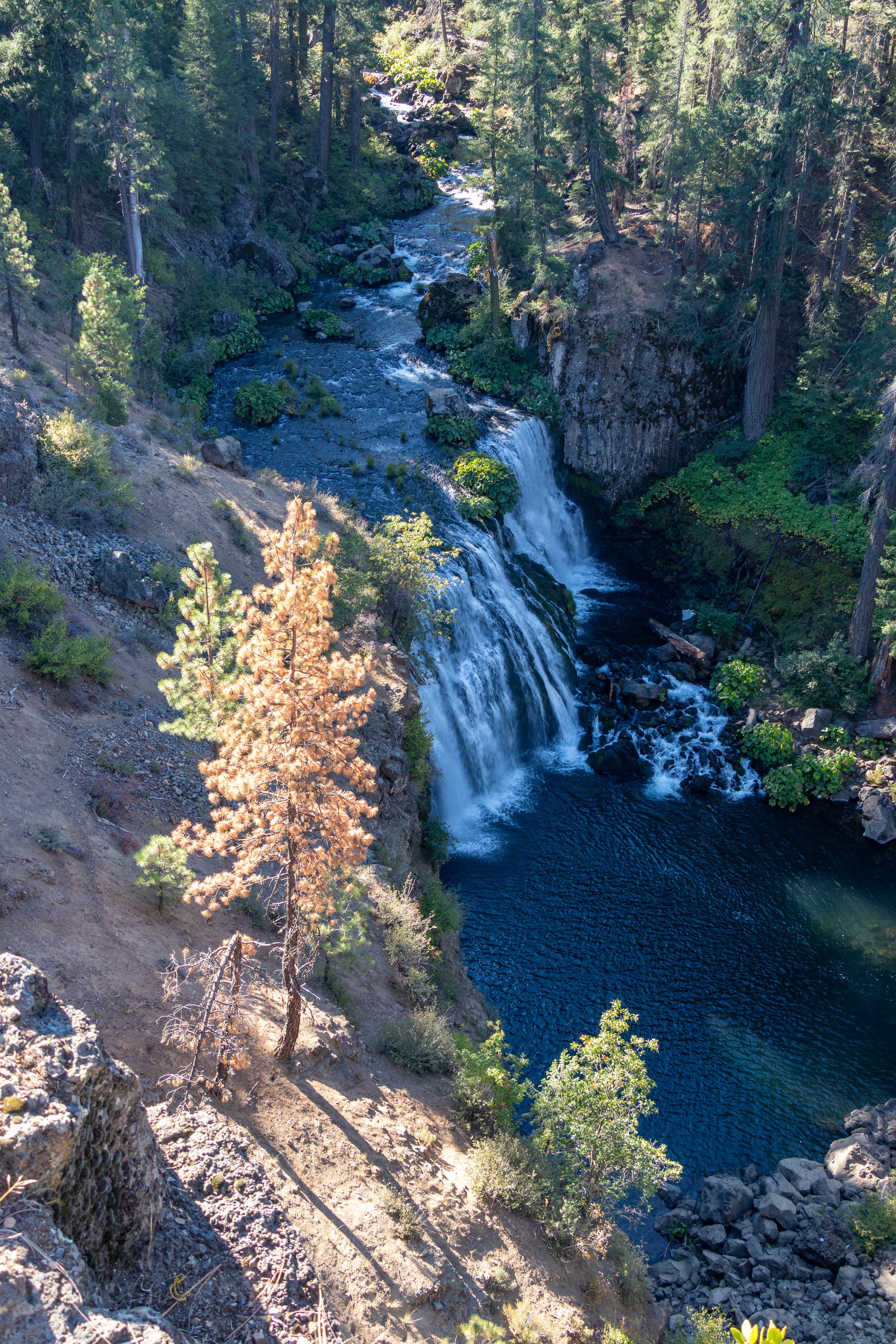 The McCloud River falls over a small cliff of dark-colored rock, California, United States.