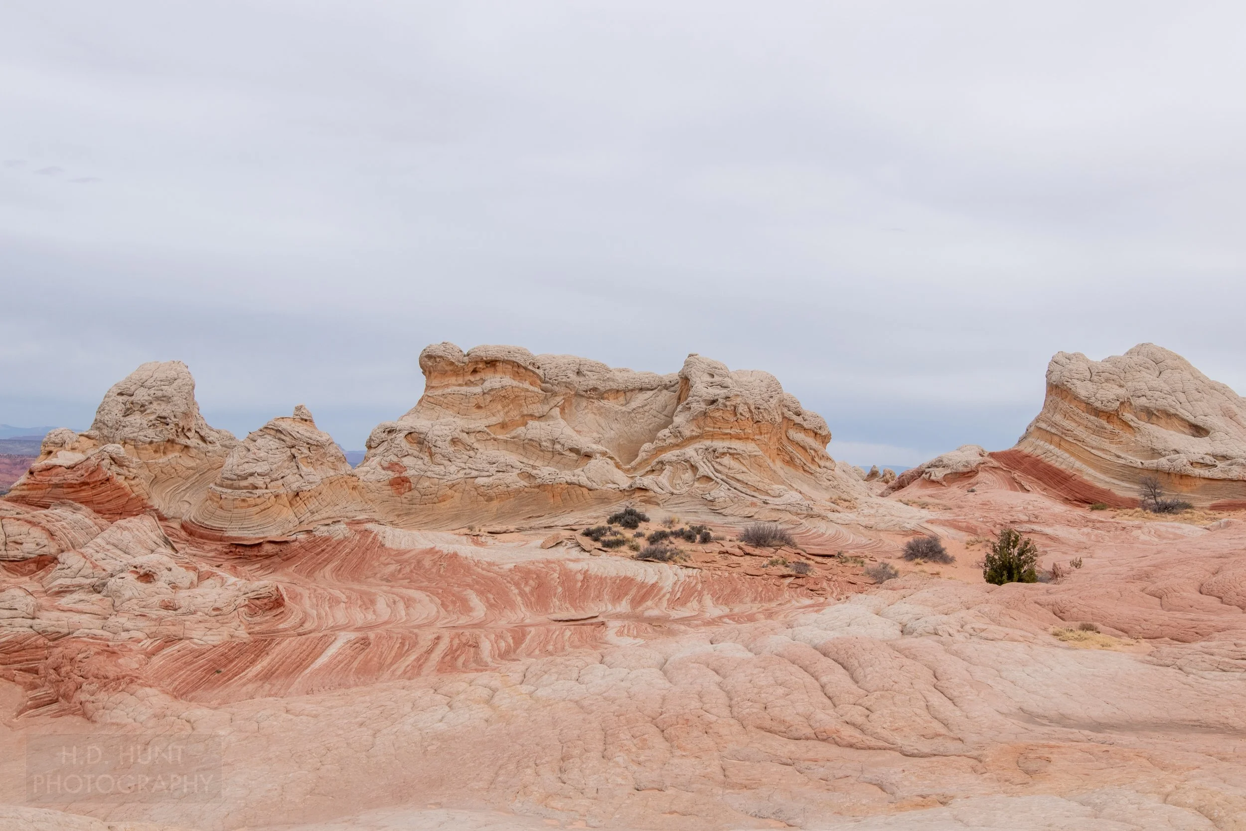 White rock mounds sit atop a bedrock of red and white folded and deformed sandstone, White Pocket, Vermillion Cliffs National Monument, Arizona, United States.