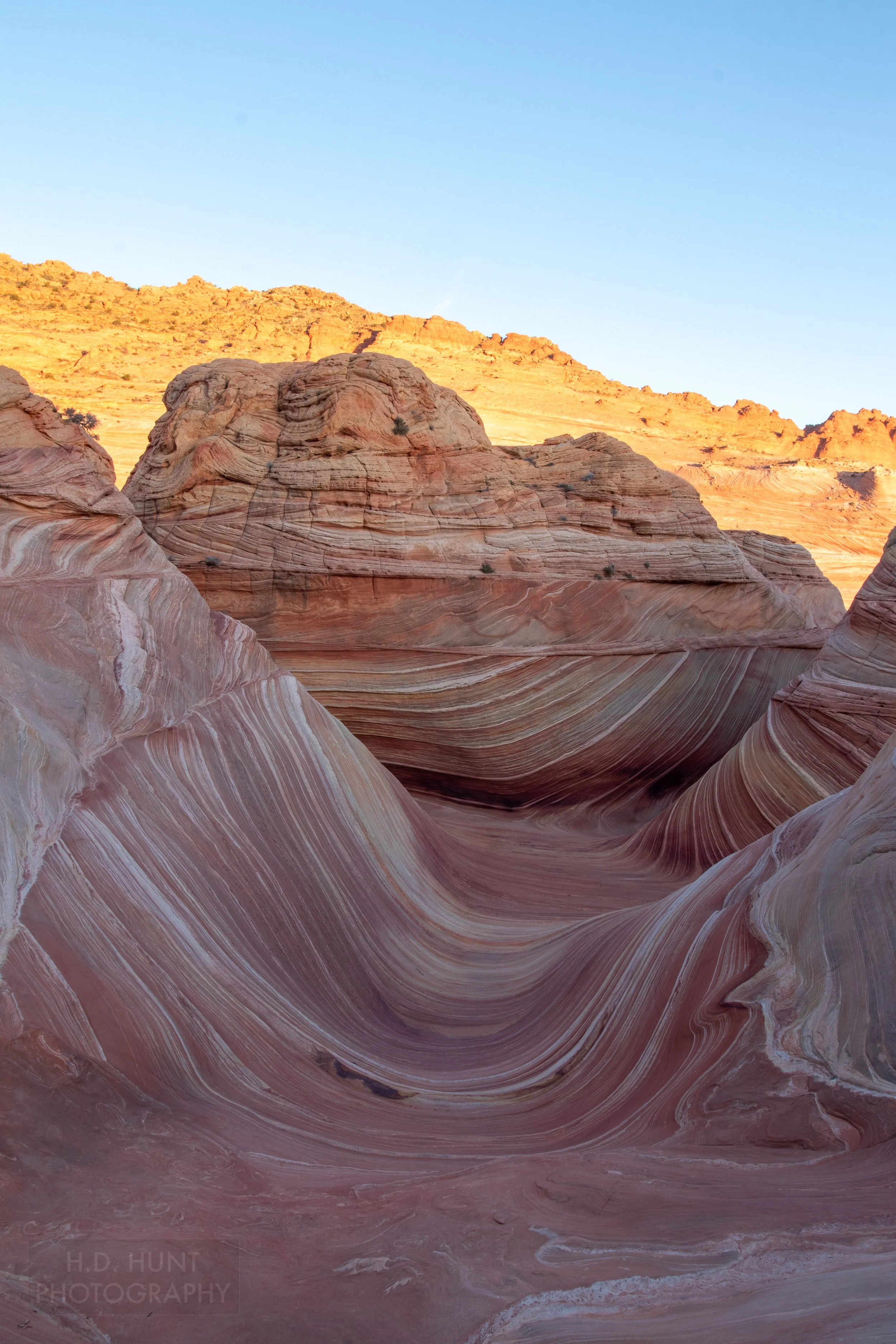 Shadow crosses the deep bowl-shaped sandstone rock formation The Wave, Coyote Buttes North, Paria Canyon-Vermilion Cliffs Wilderness, Arizona, United States.
