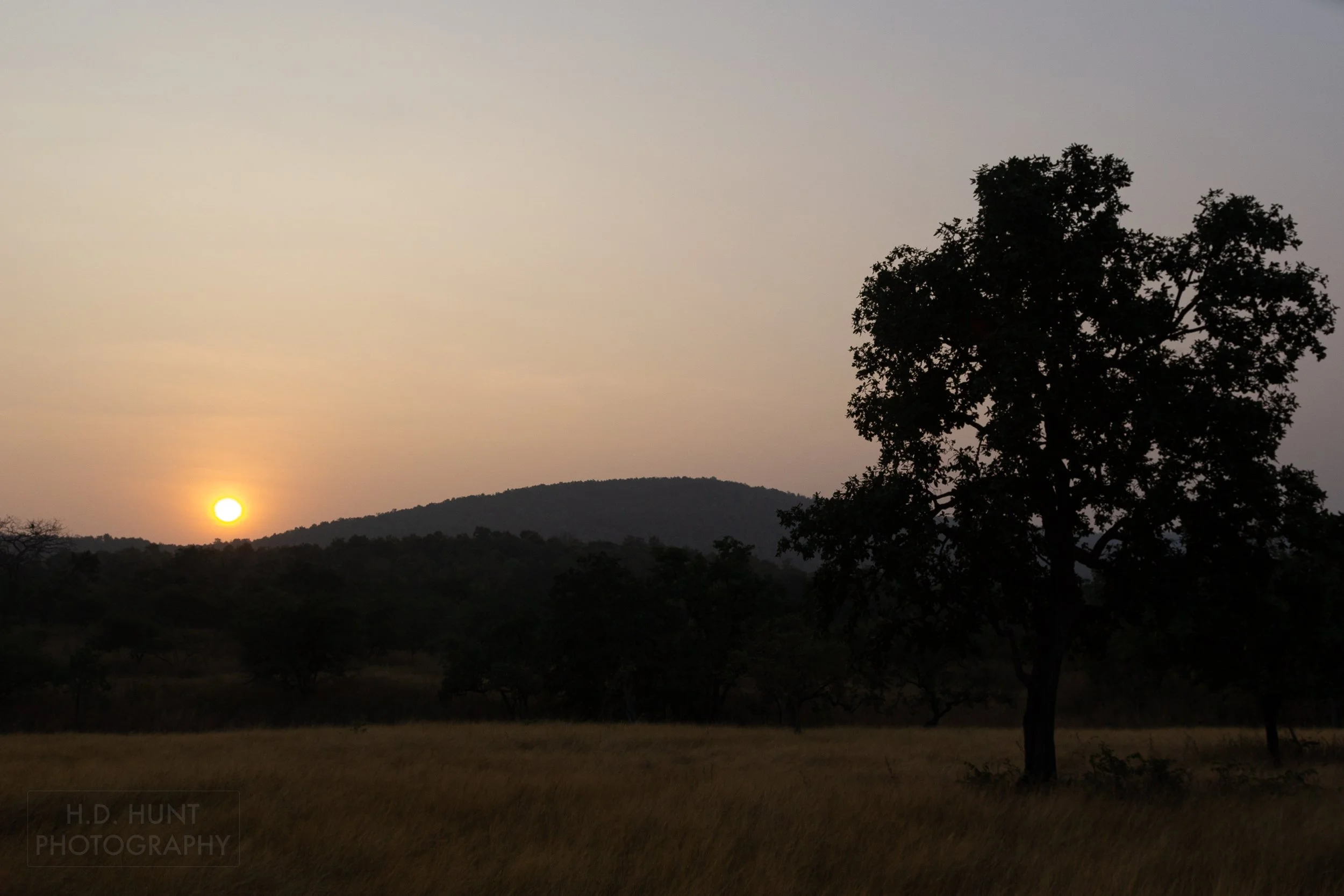 The sun rises over the rolling hills and grasslands of Panna National Park, India.