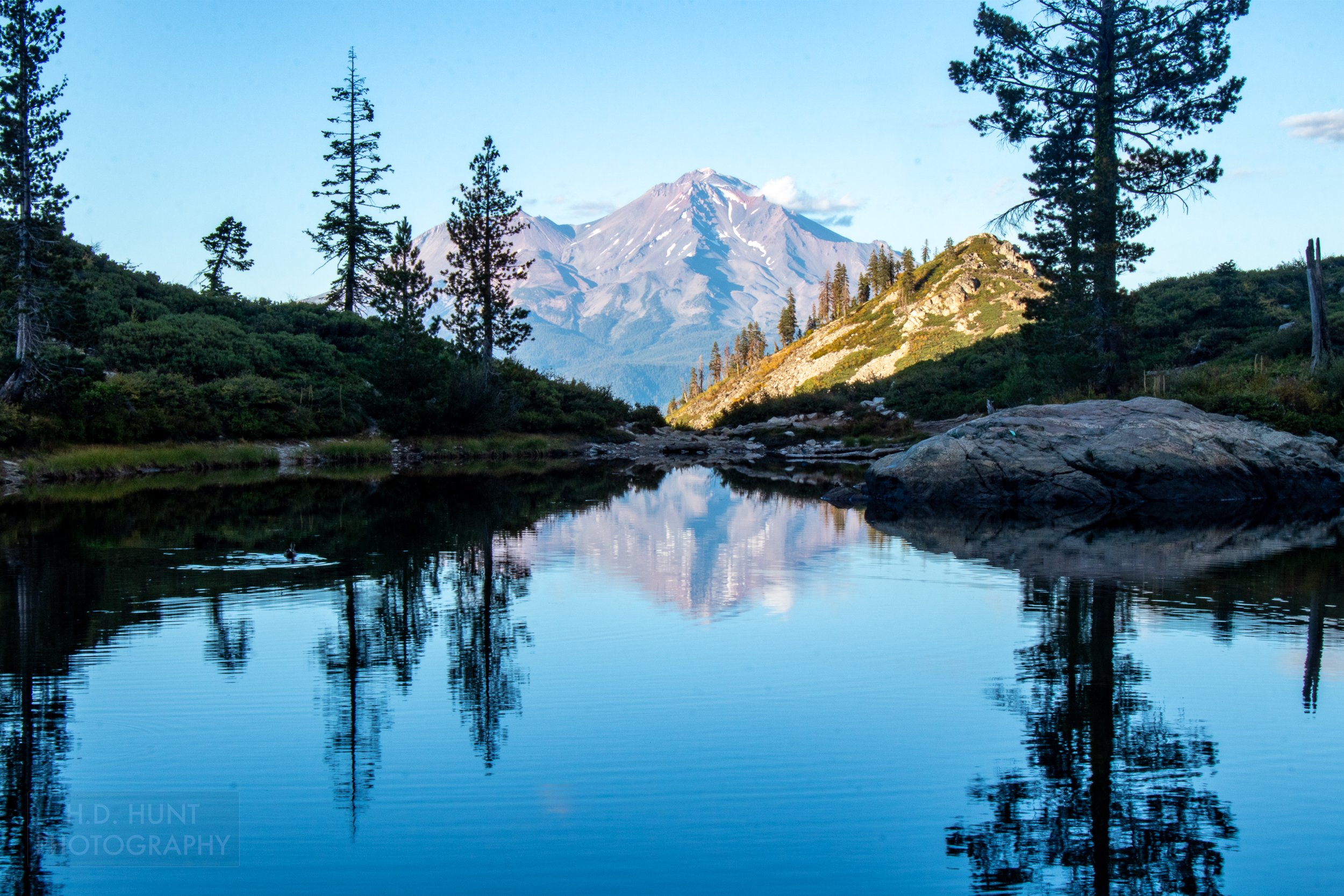 Mount Shasta is reflected in a small lake, Shasta-Trinity National Forest, California, United States.