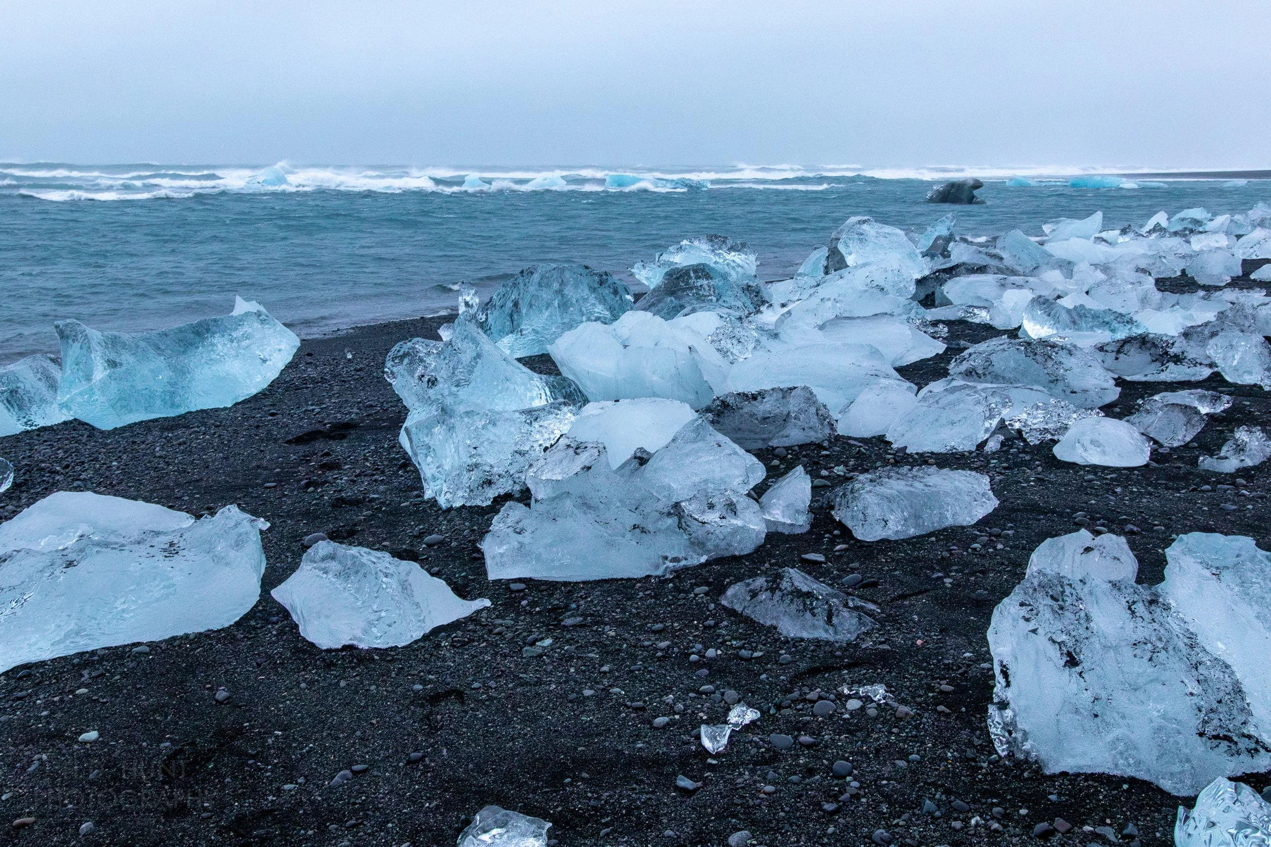 Large blocks of clear glacier ice sit on a dark black sand beach, Diamond Beach, Iceland.
